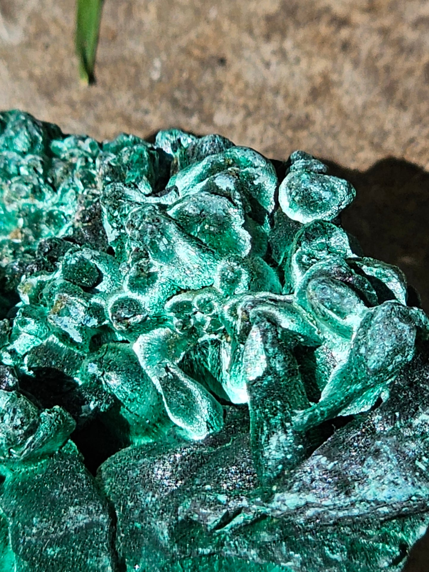 Malachite Velvet M1