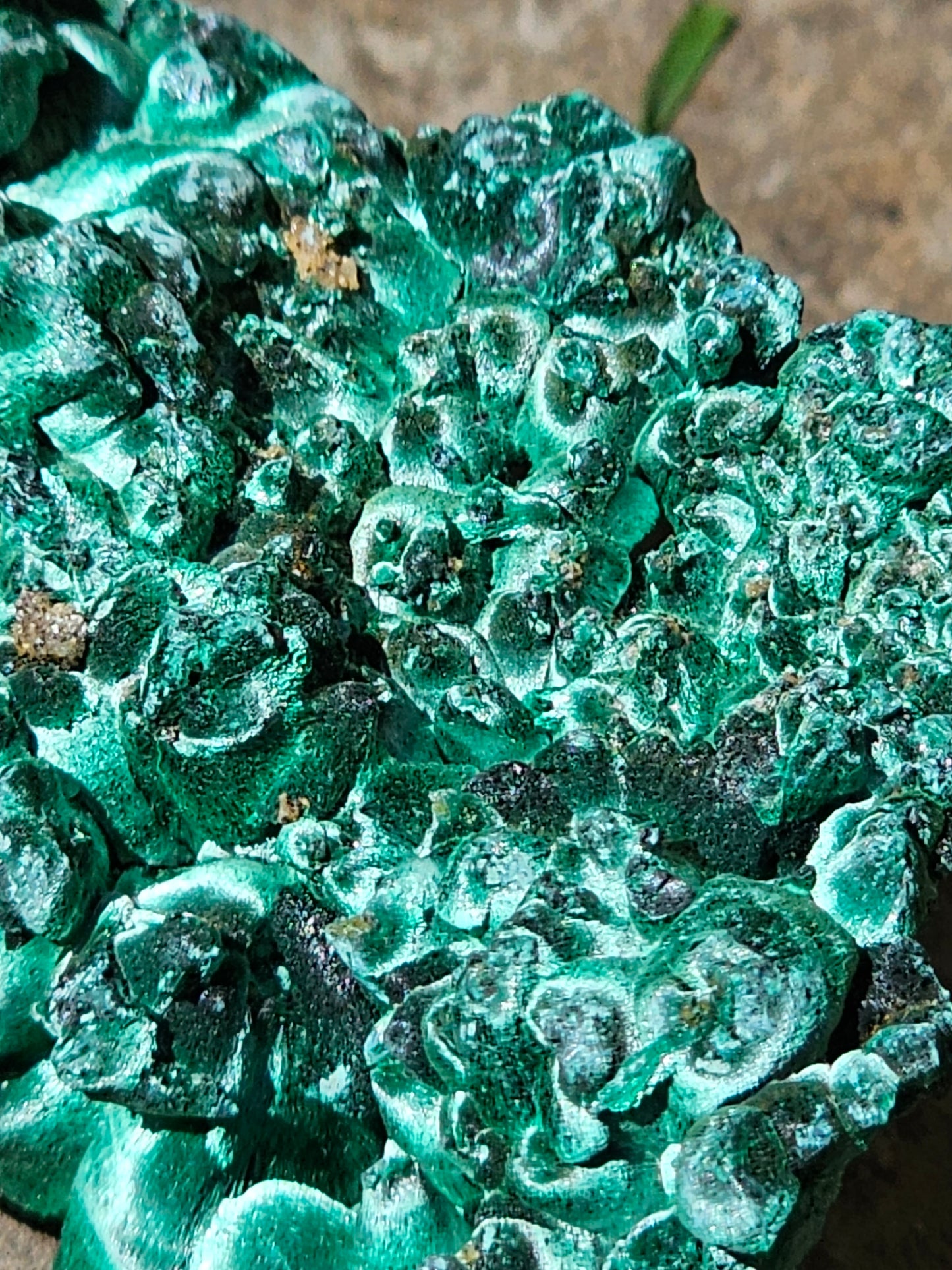 Malachite Velvet M1