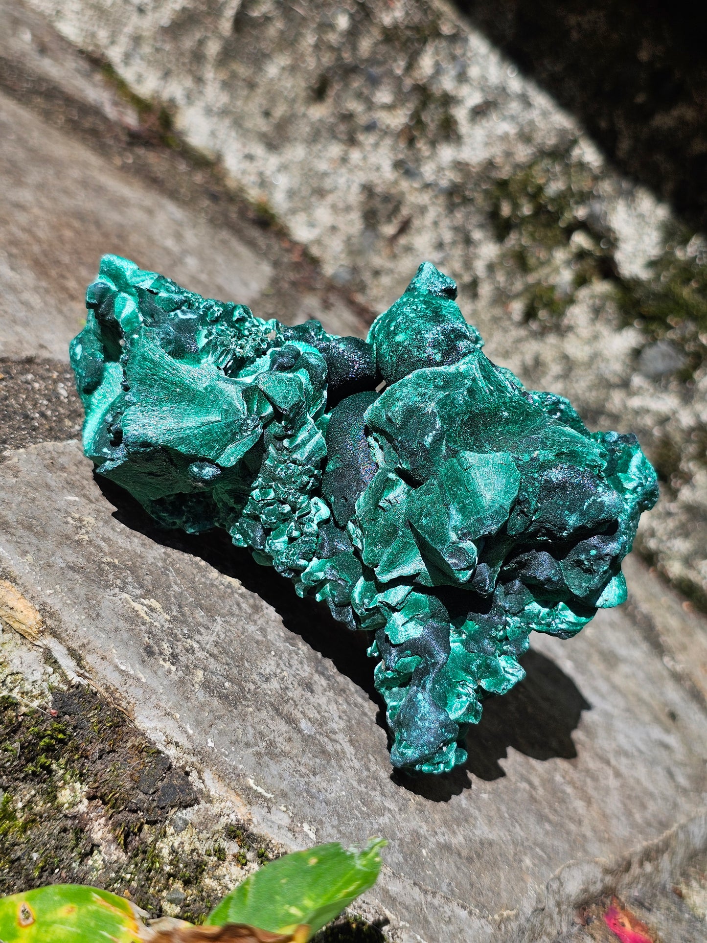 Malachite Velvet d'exception M4