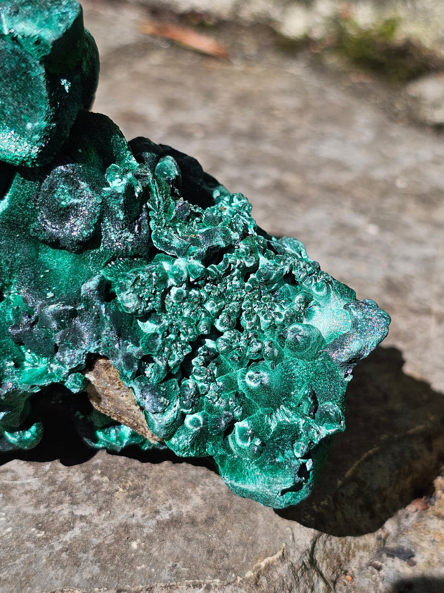 Malachite Velvet d'exception M4