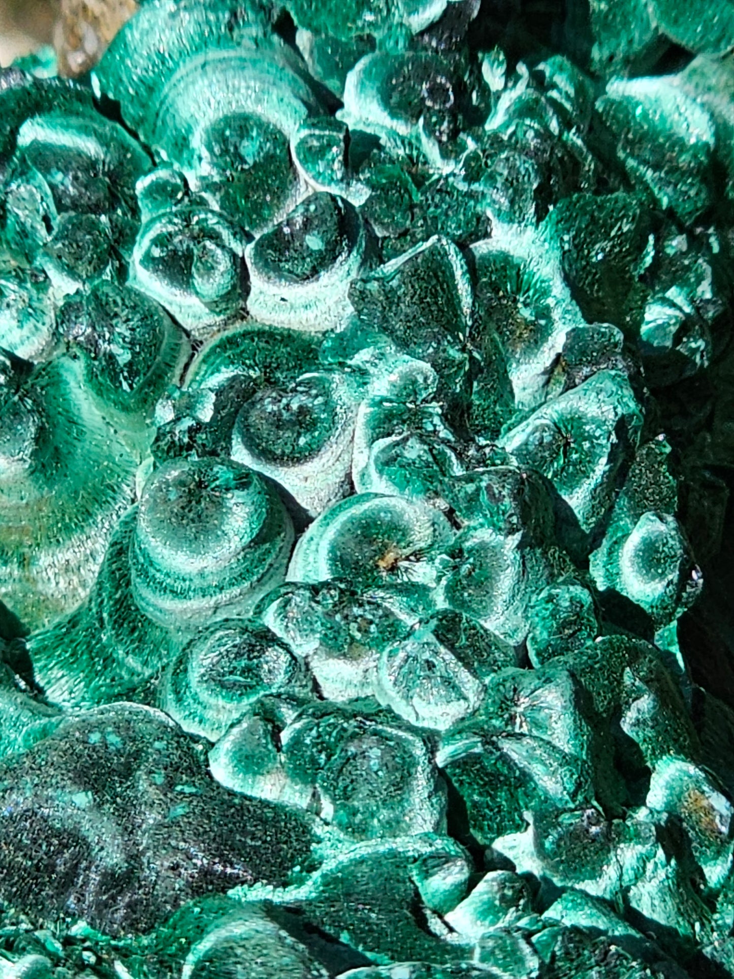 Malachite Velvet d'exception M4
