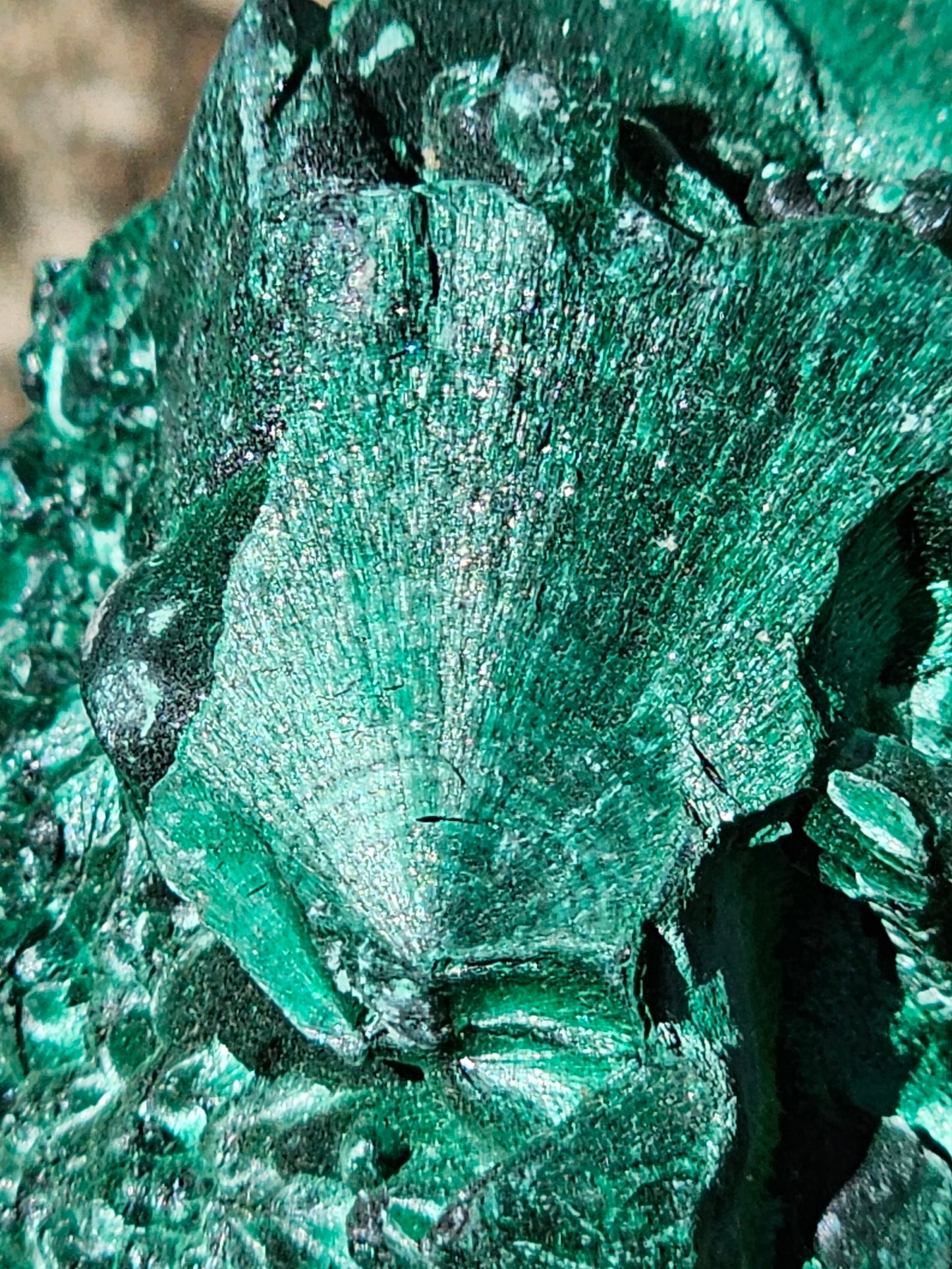 Malachite Velvet d'exception M4