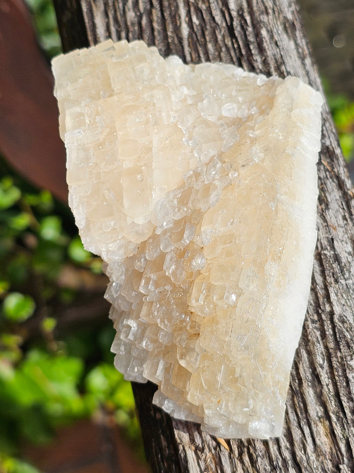 Calcite miel français 14