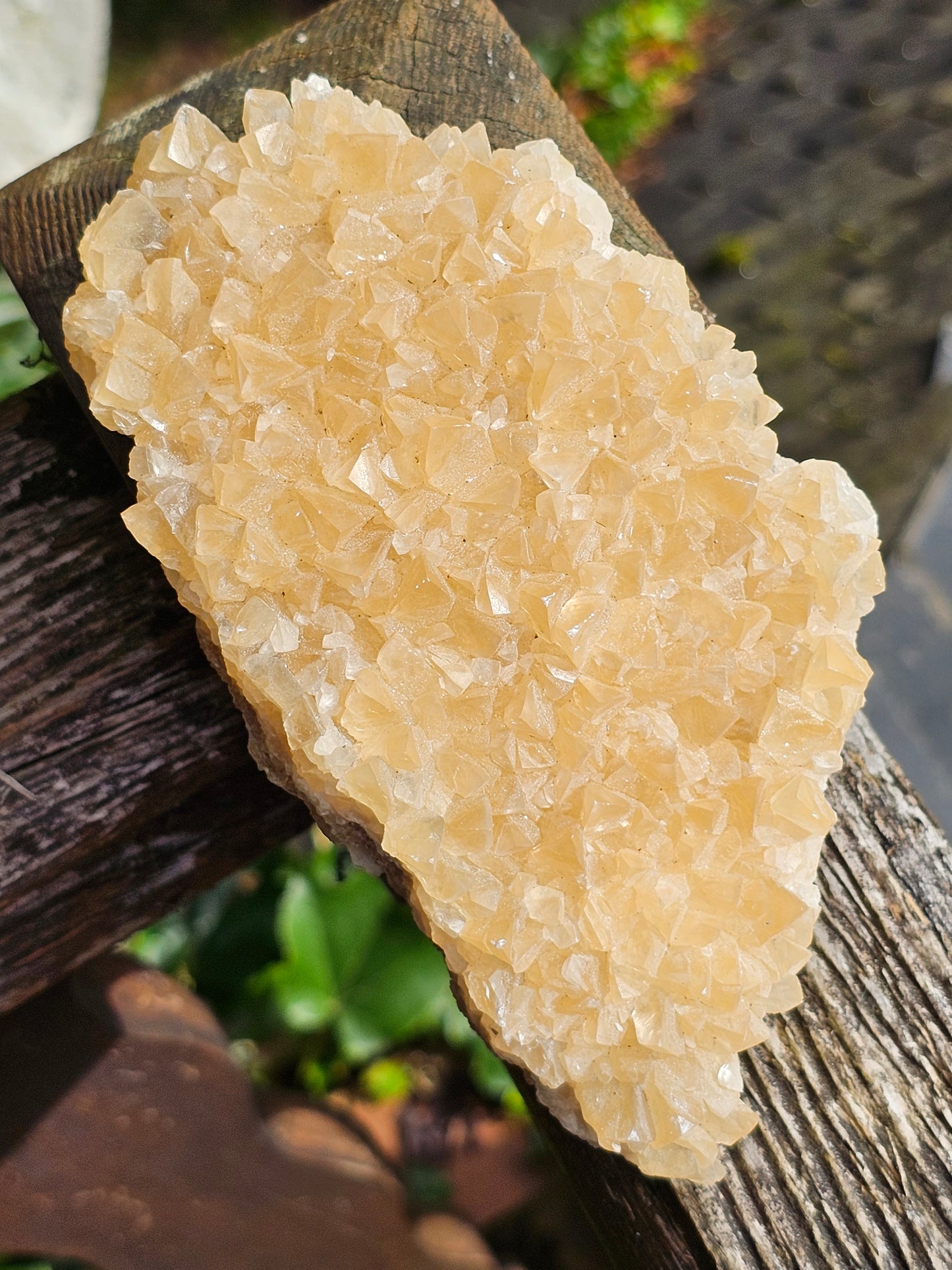 Druse Calcite miel français