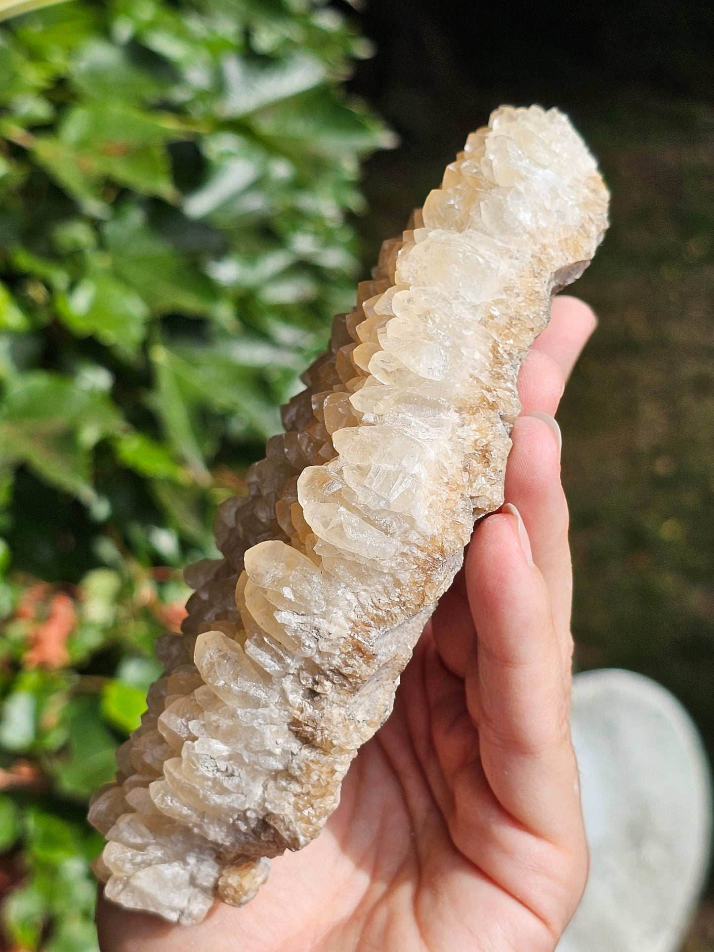 Druse Calcite miel français