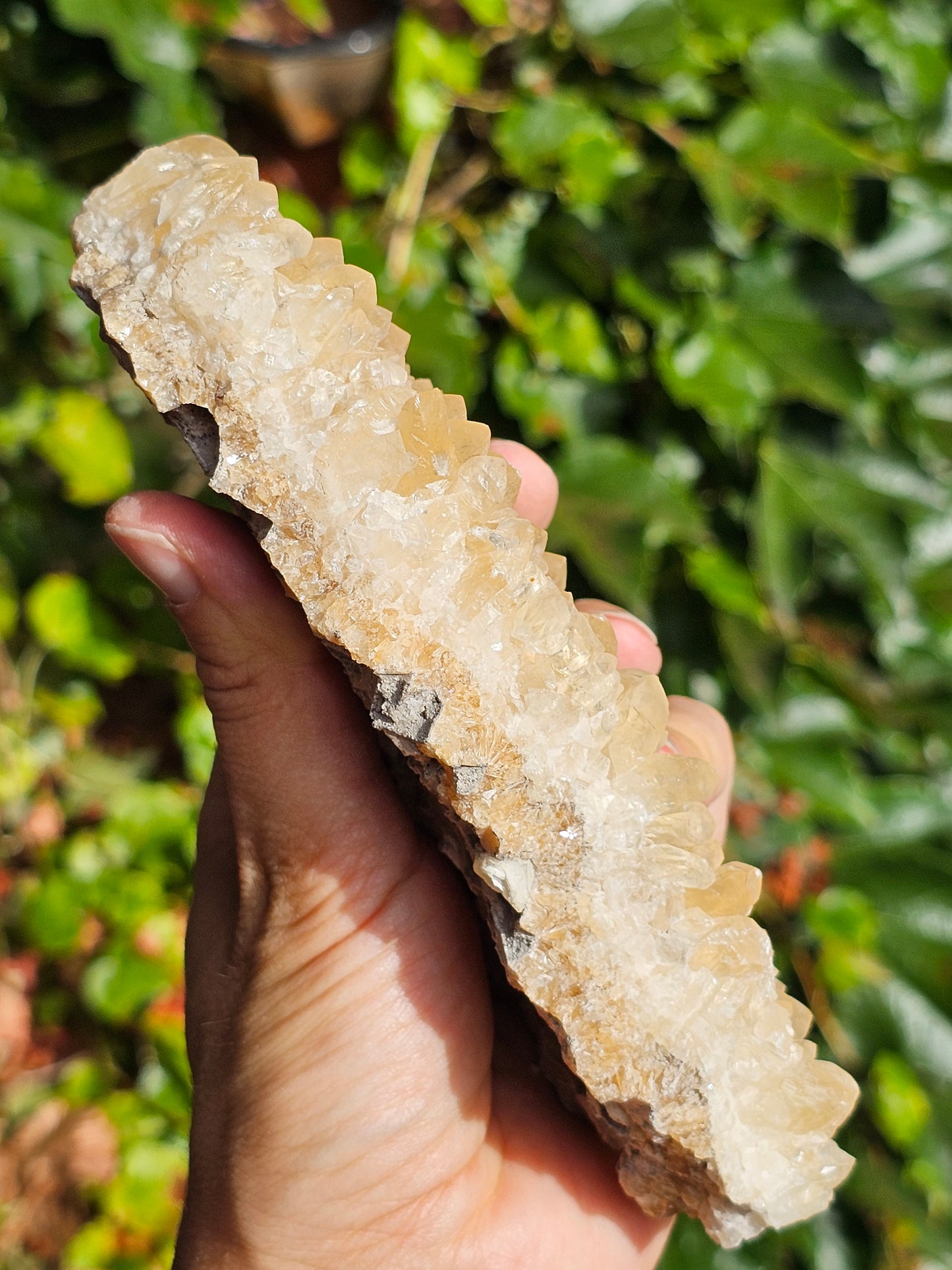 Druse Calcite miel français