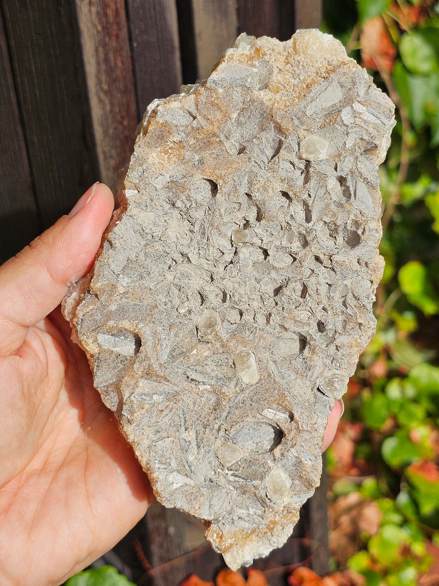 Druse Calcite miel français