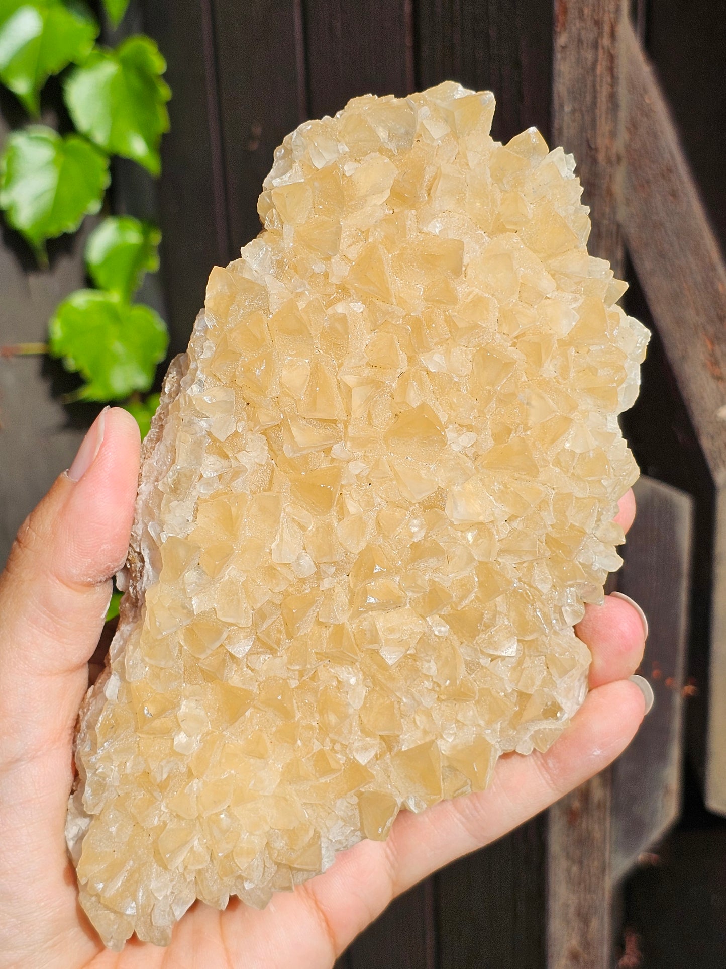 Druse Calcite miel français