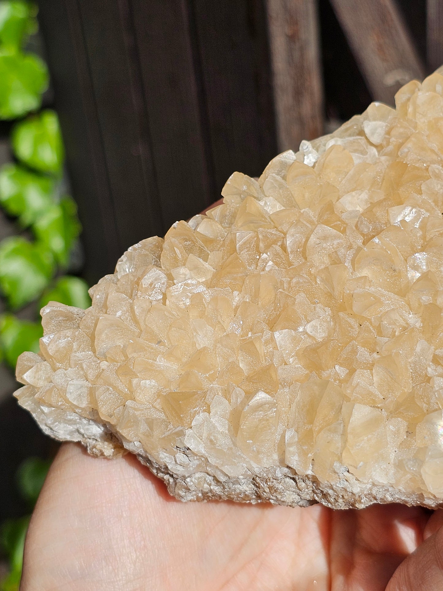 Druse Calcite miel français