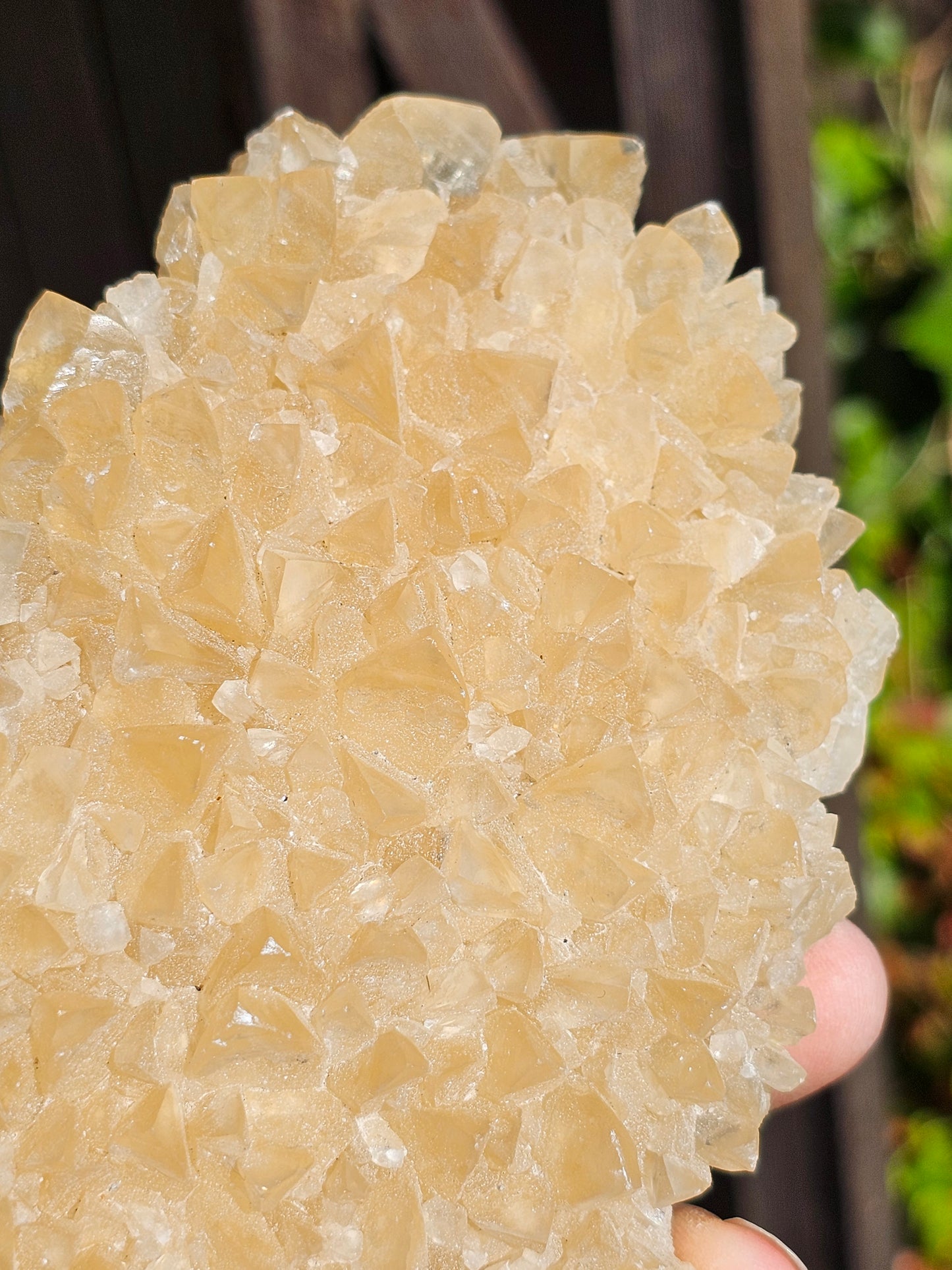 Druse Calcite miel français