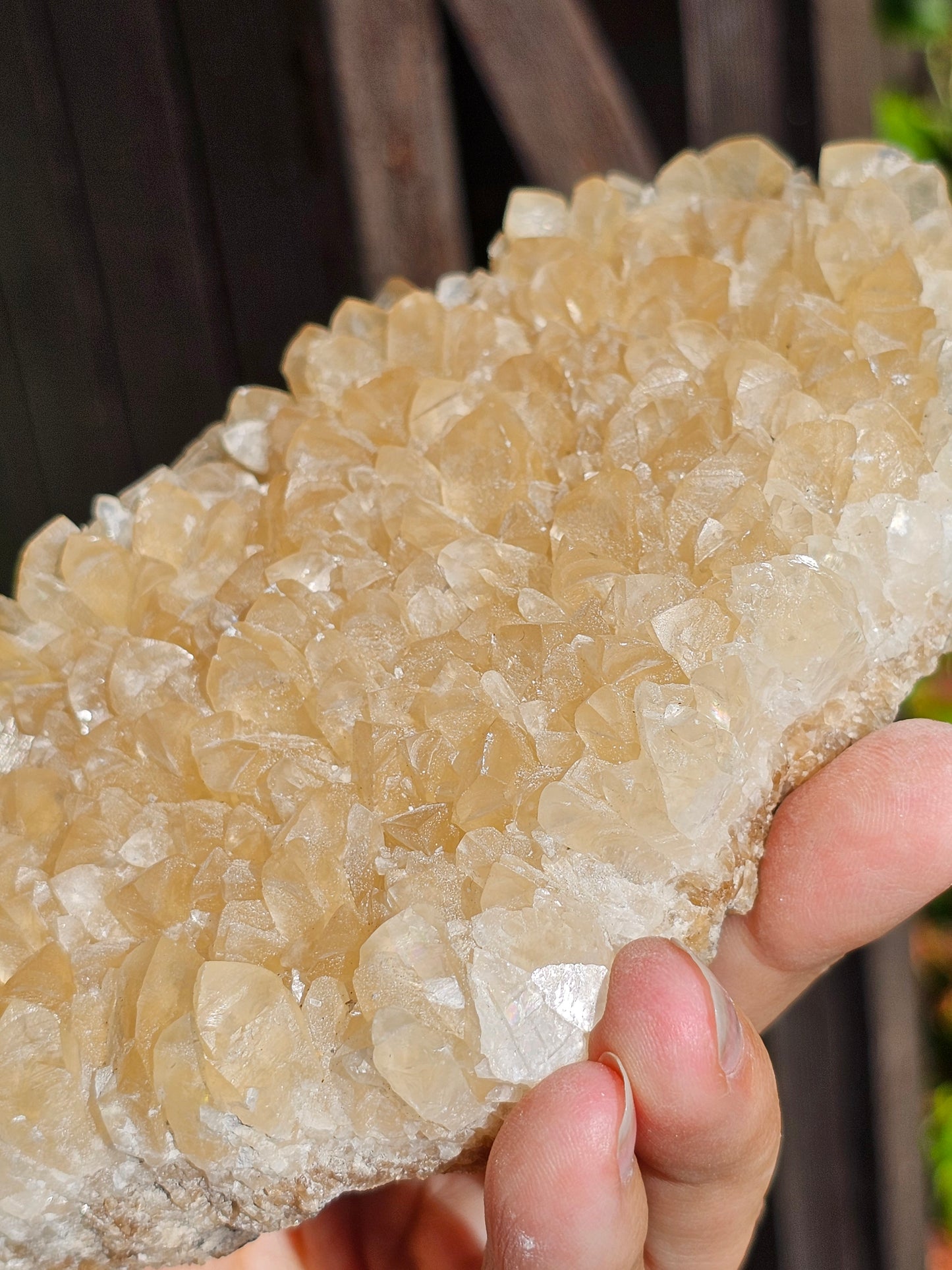 Druse Calcite miel français