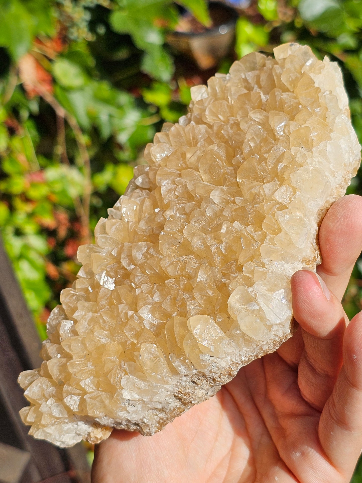 Druse Calcite miel français