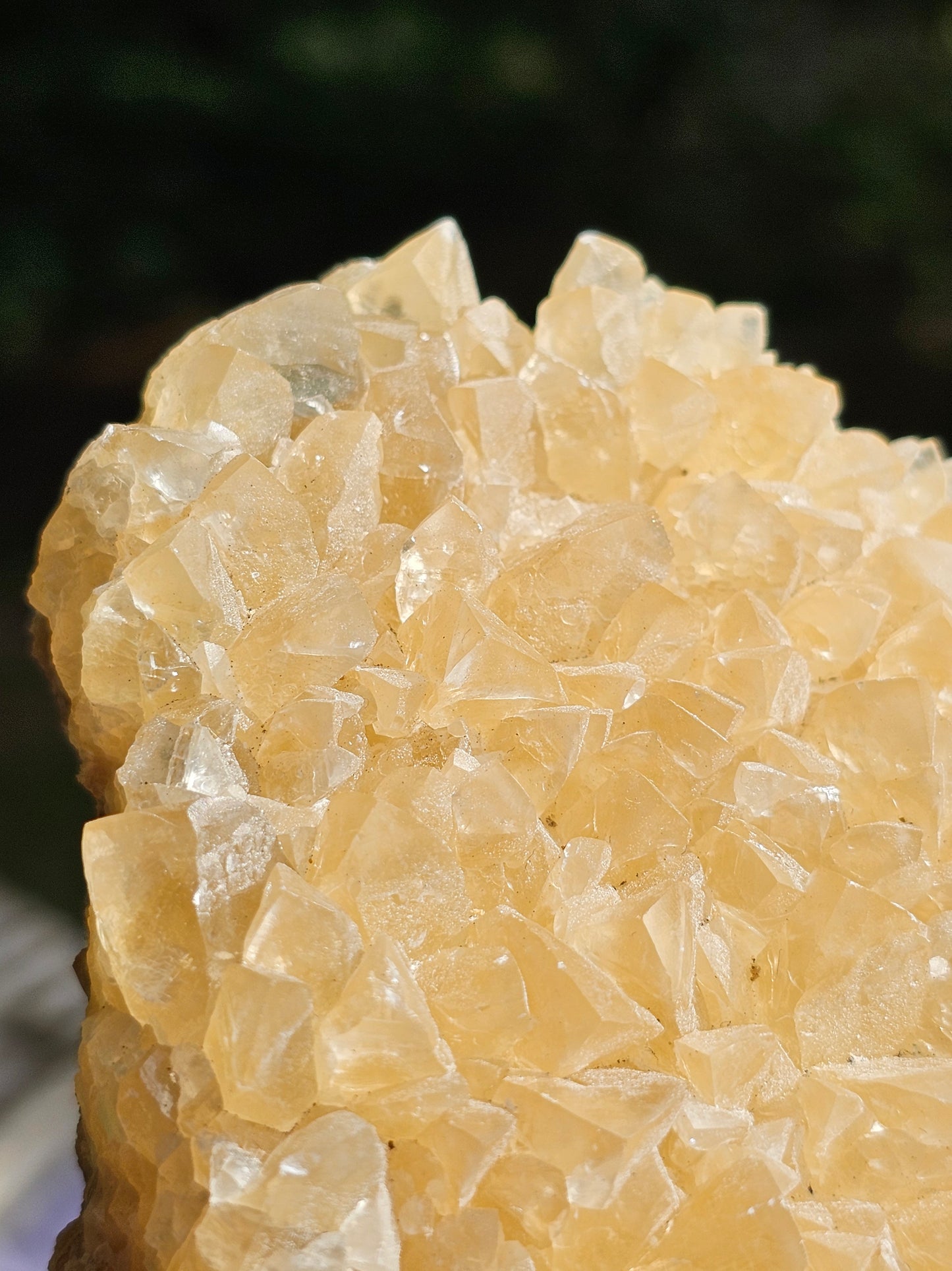 Druse Calcite miel français