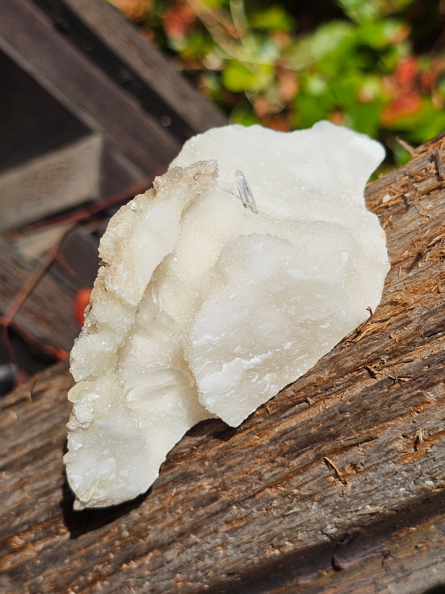 Gyspe sur Aragonite