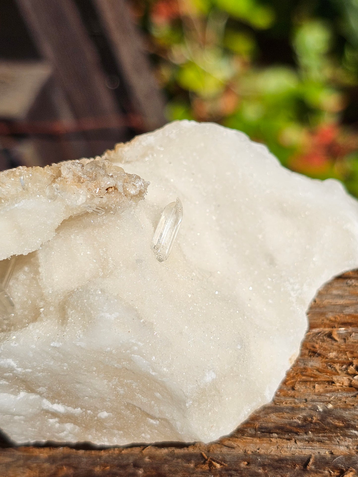 Gyspe sur Aragonite