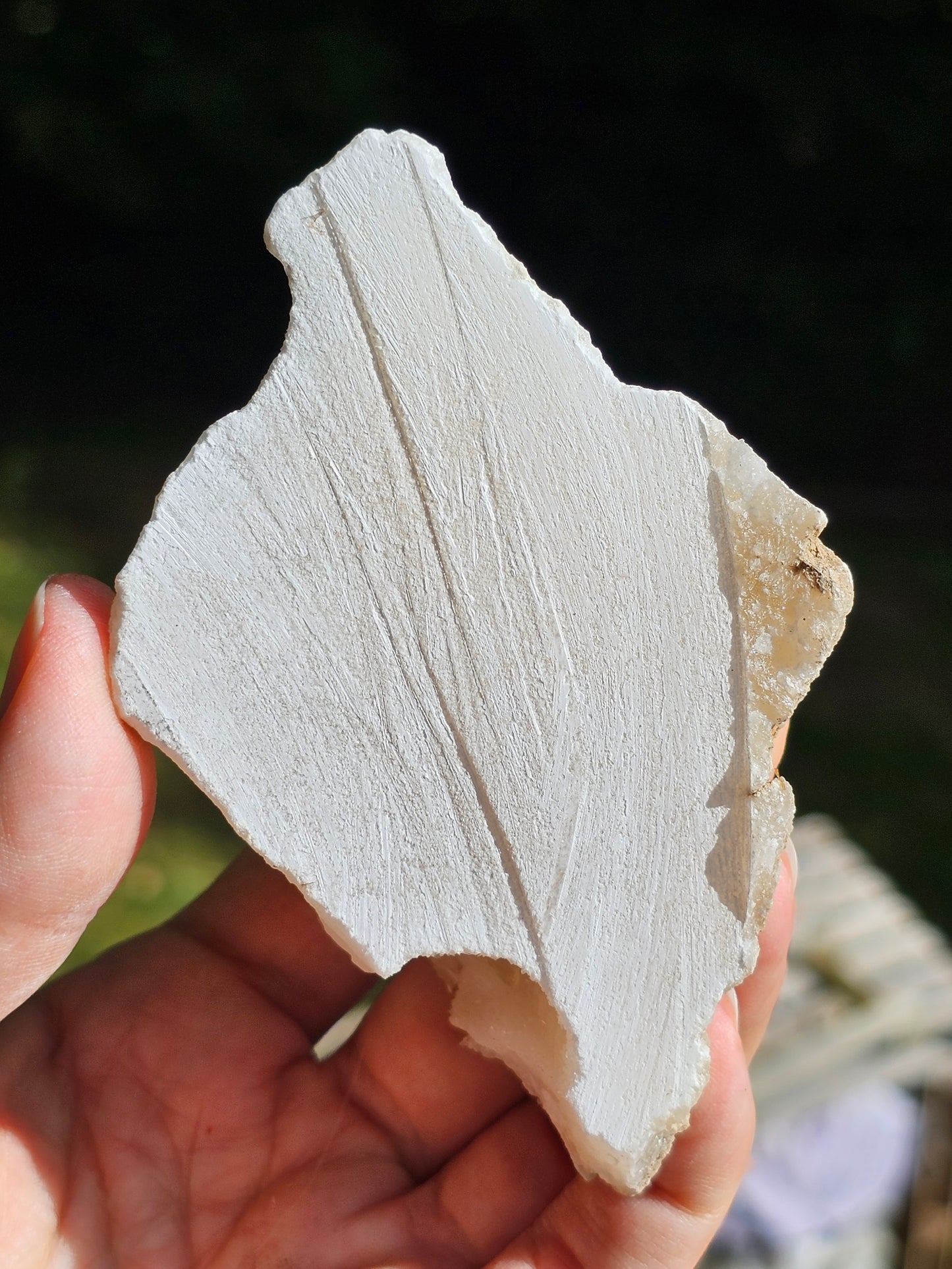 Gyspe sur Aragonite