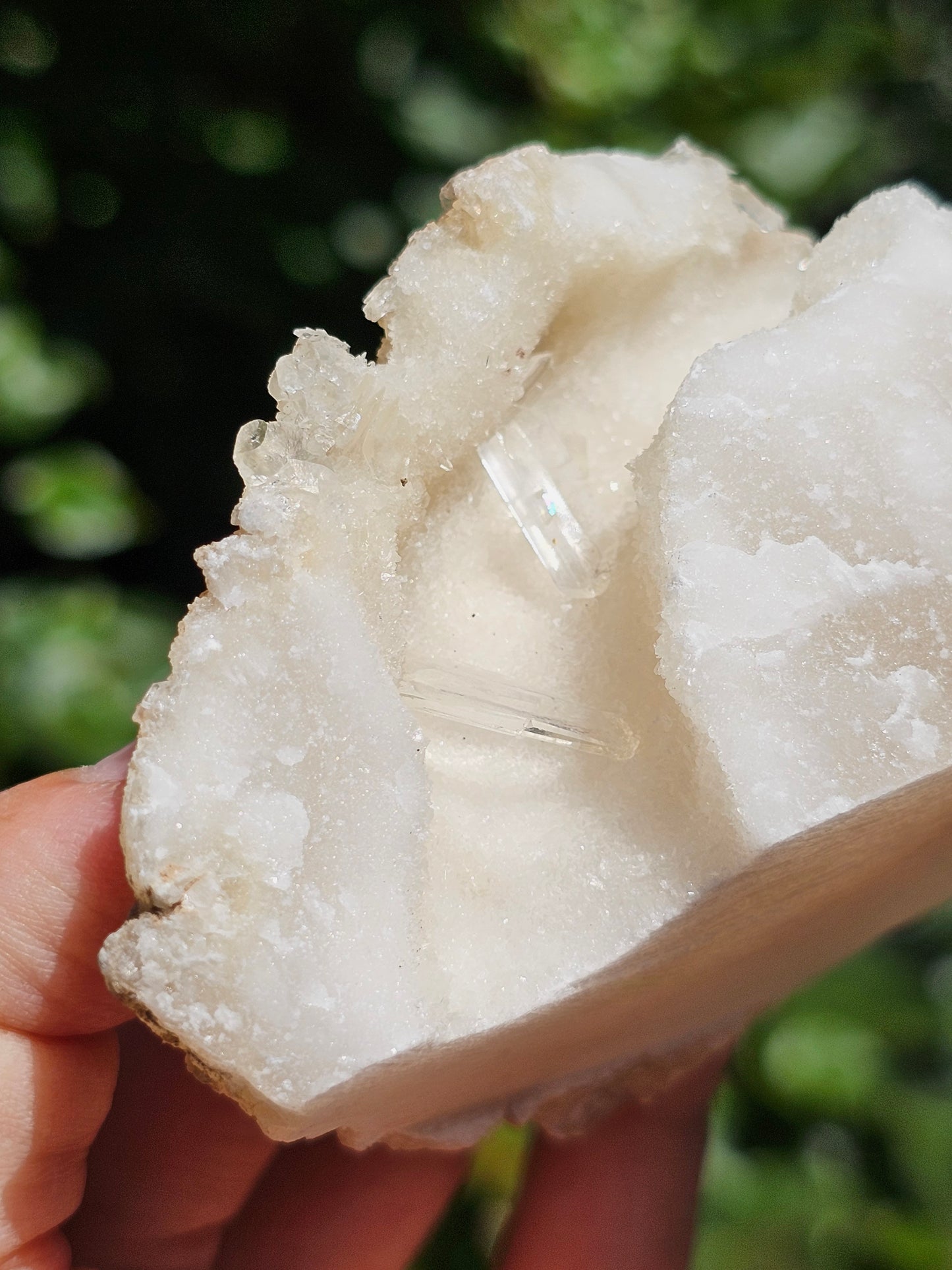Gyspe sur Aragonite