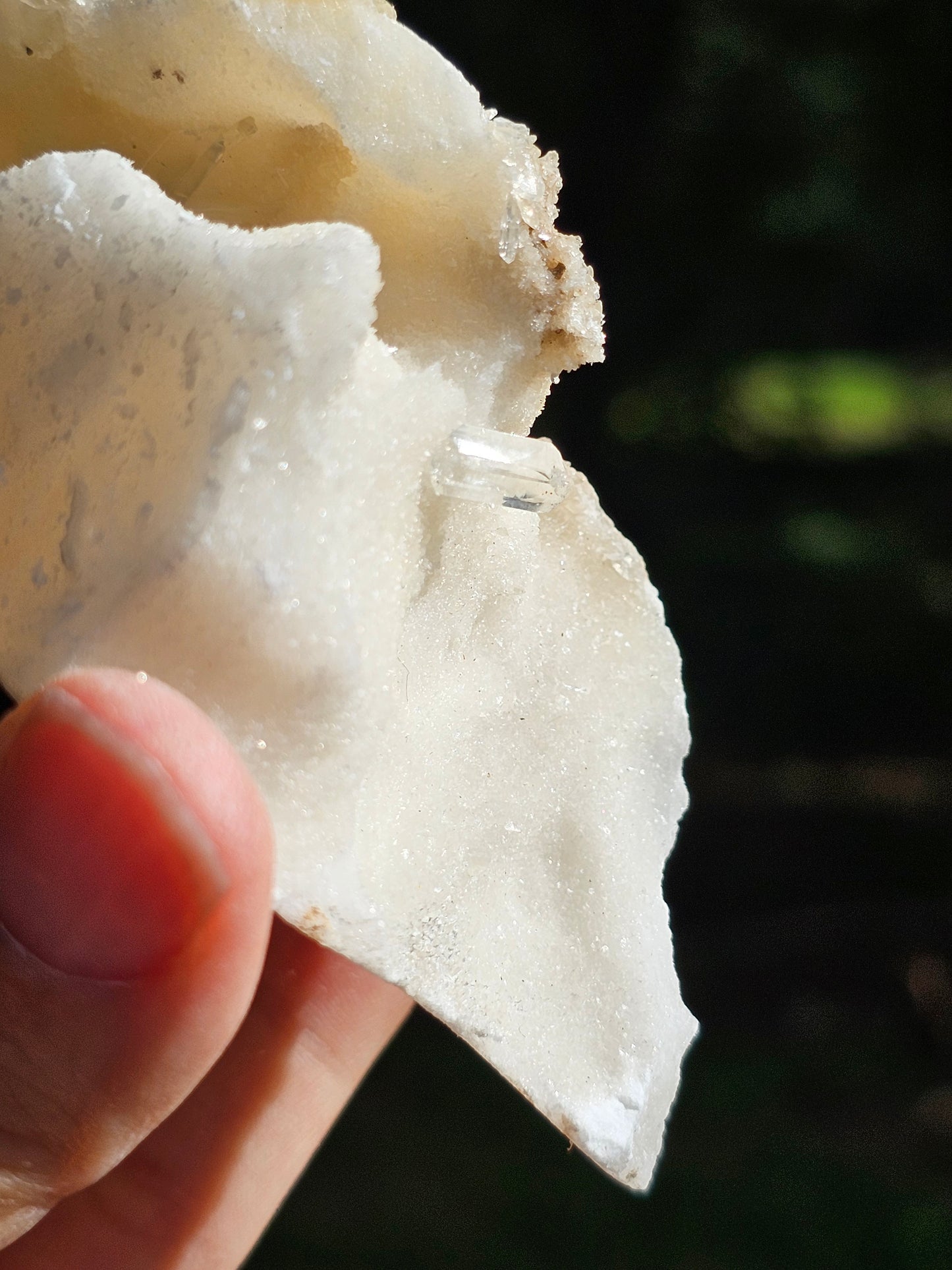 Gyspe sur Aragonite