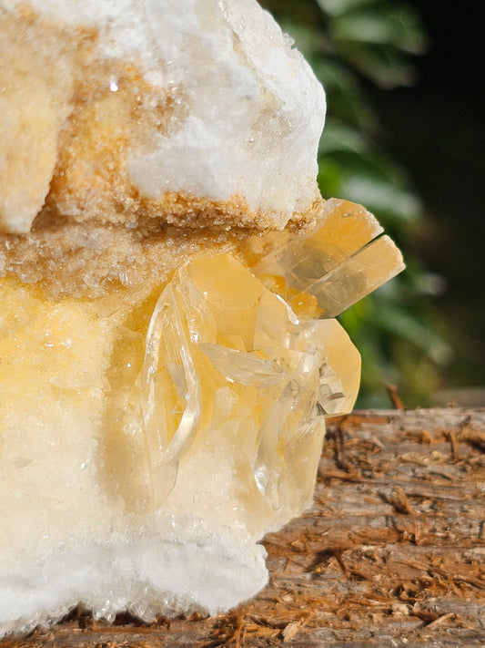 Beau Gyspe sur Aragonite