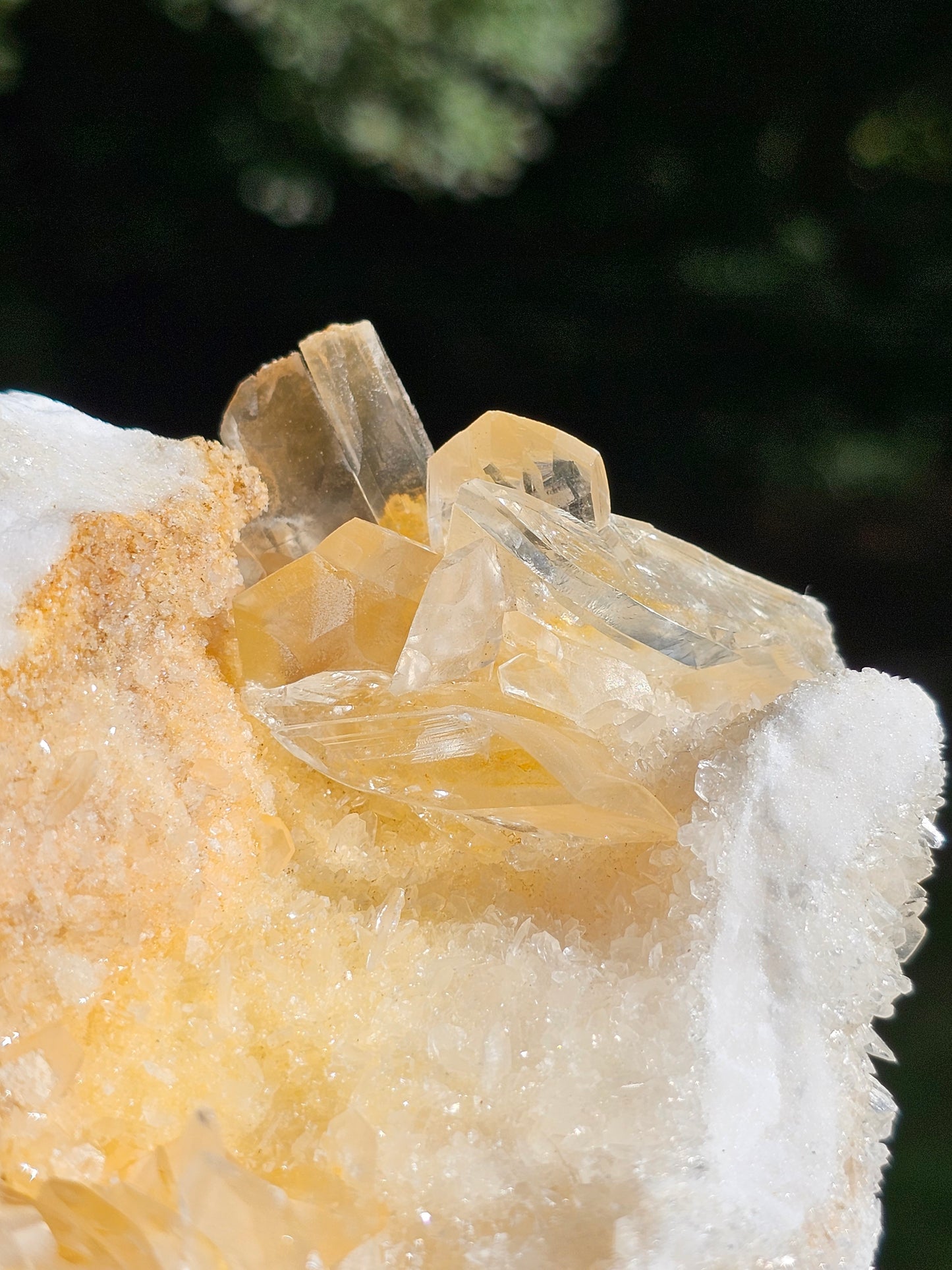 Beau Gyspe sur Aragonite