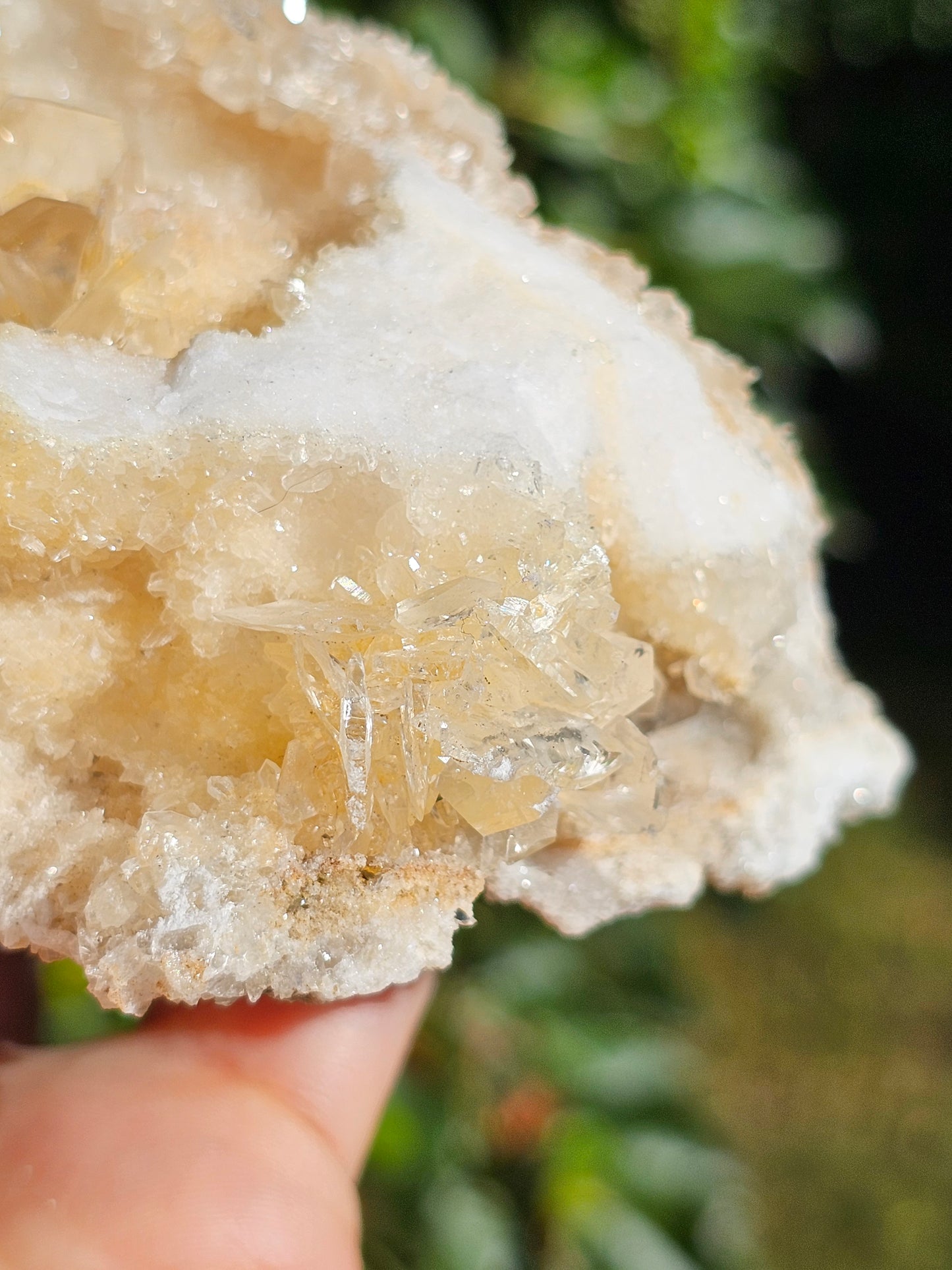 Beau Gyspe sur Aragonite