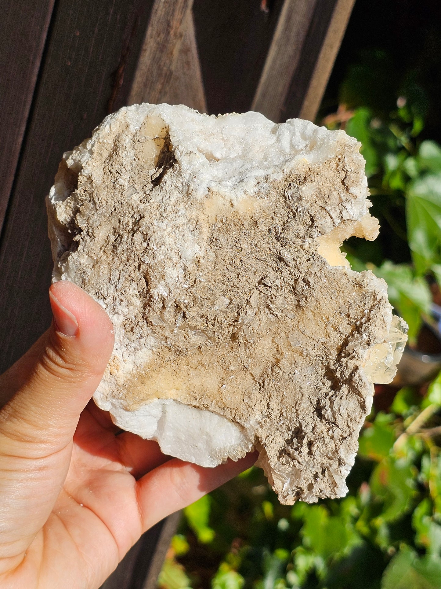 Beau Gyspe sur Aragonite