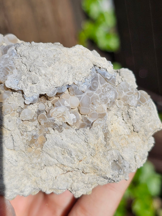 Calcédoine botryoïdale française E