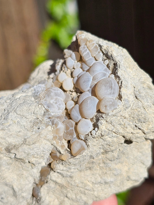 Calcédoine française E