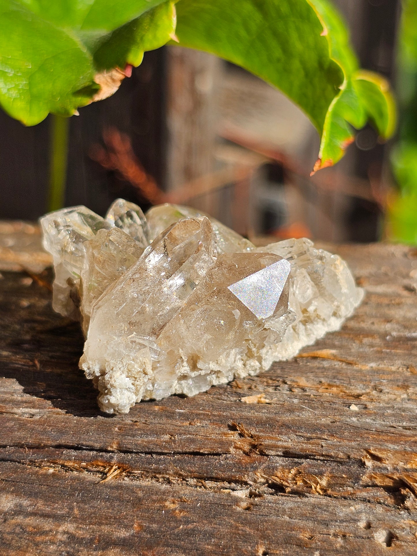 Petit Quartz fumé des Pyrénées