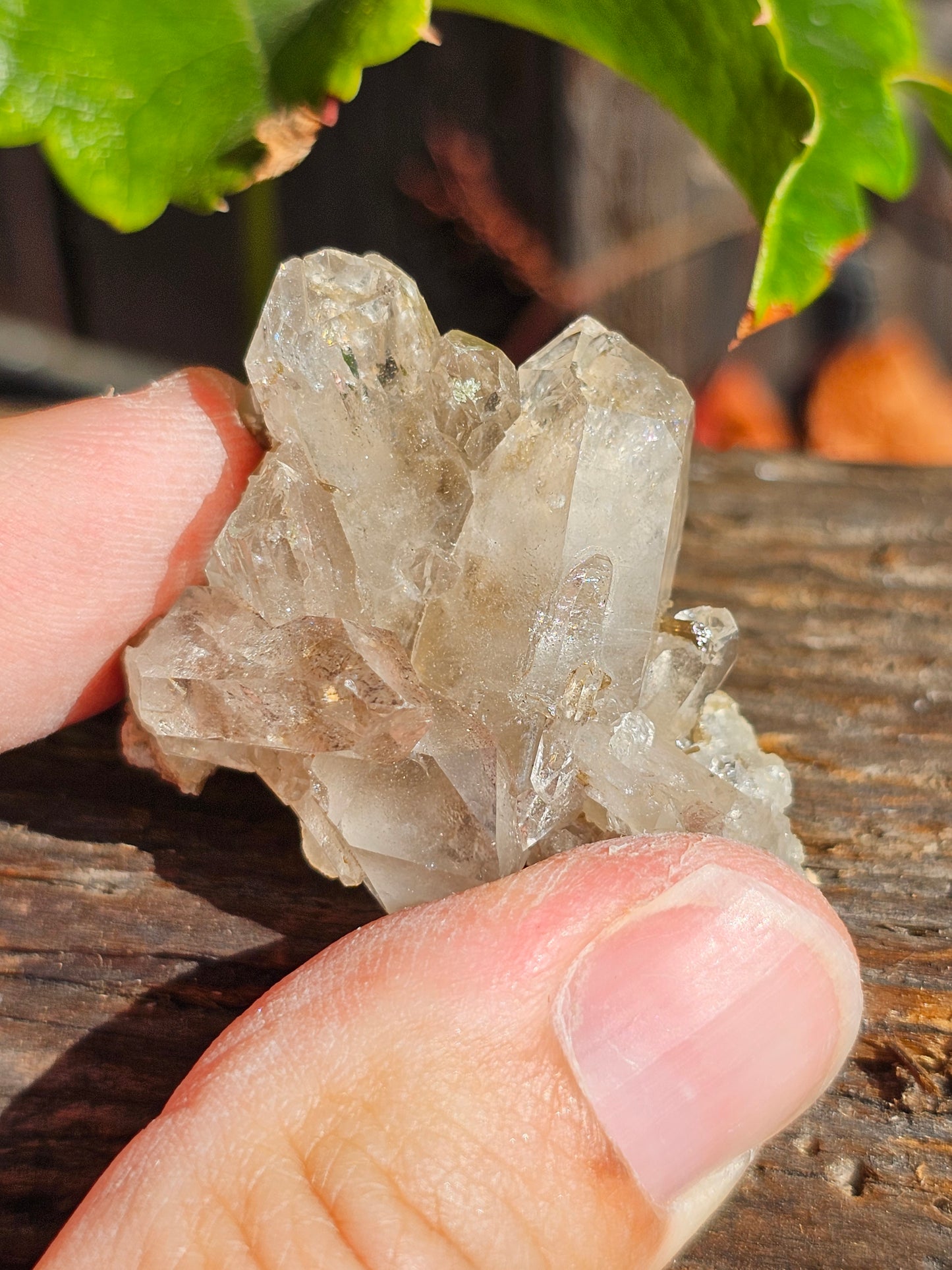 Petit Quartz fumé des Pyrénées