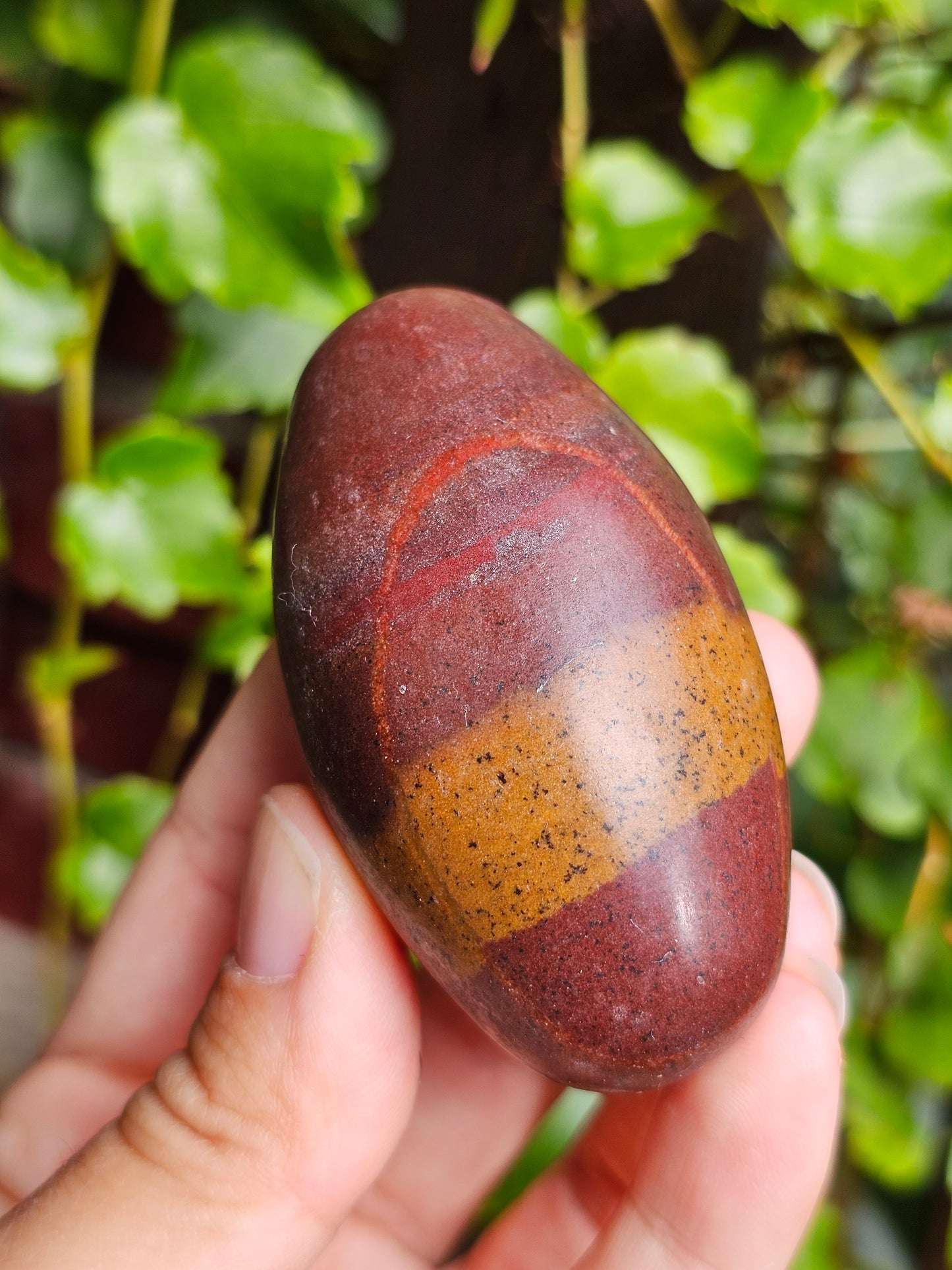 Shiva Lingam (à choisir)
