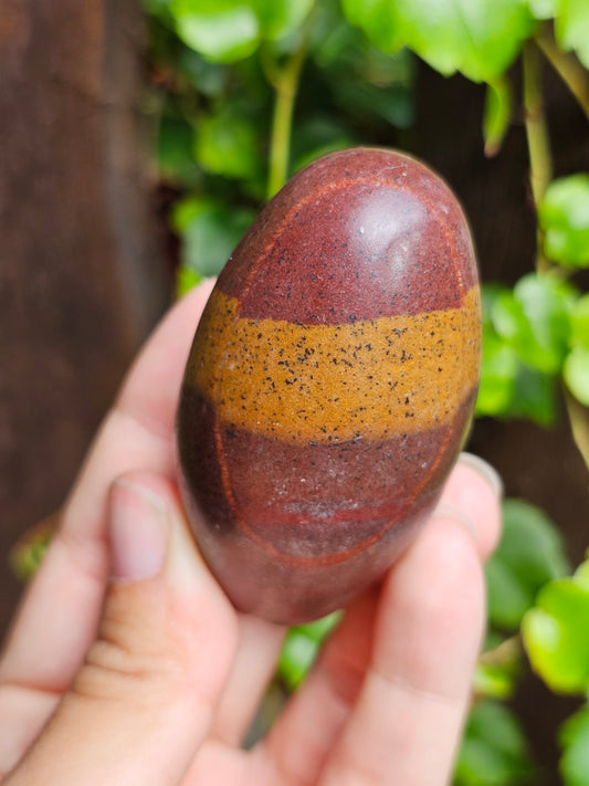 Shiva Lingam (à choisir)