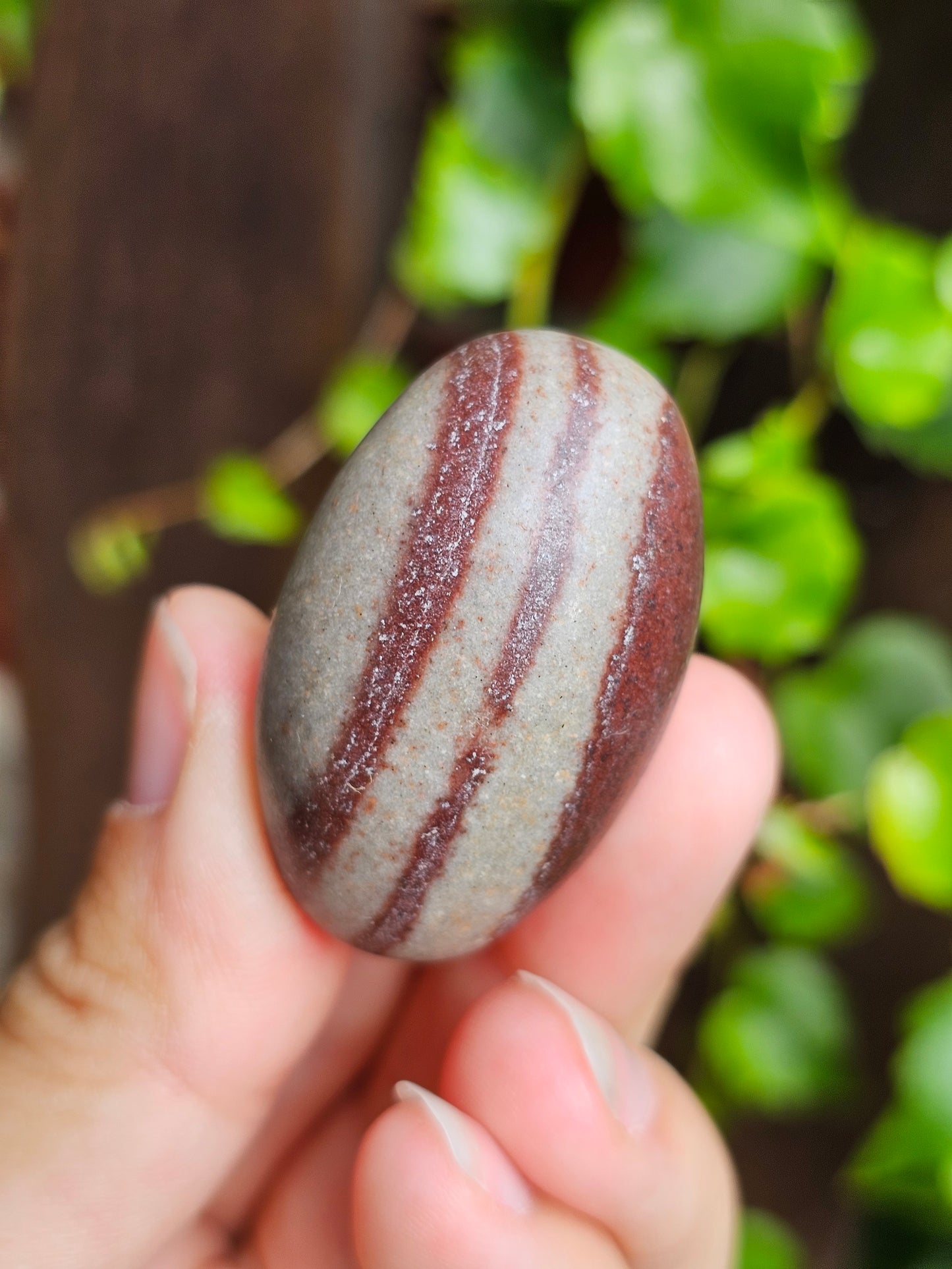 Shiva Lingam (à choisir)