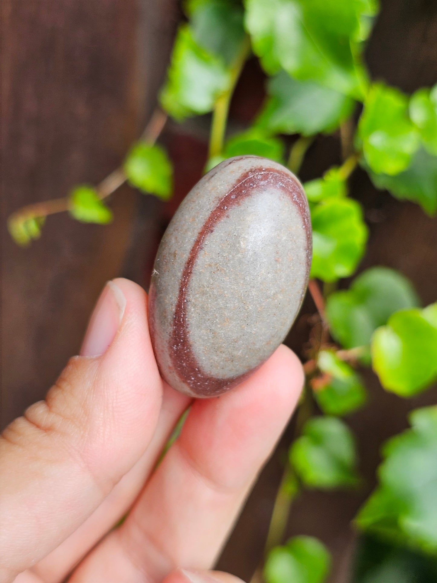 Shiva Lingam (à choisir)