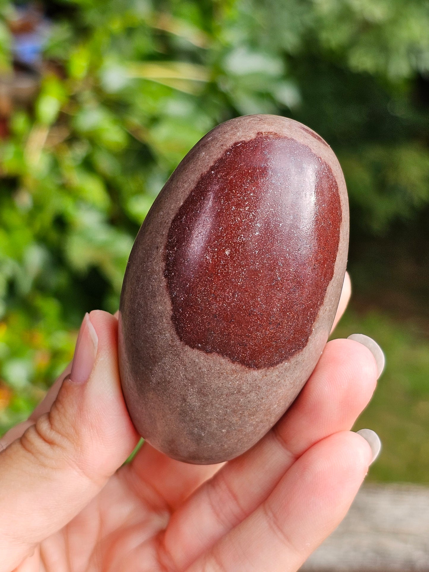 Shiva Lingam (à choisir)
