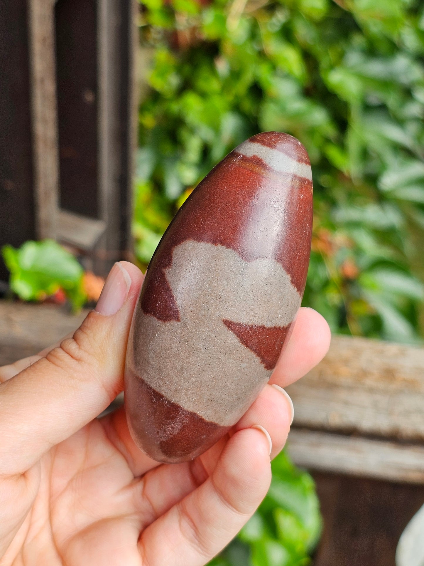 Shiva Lingam (à choisir)