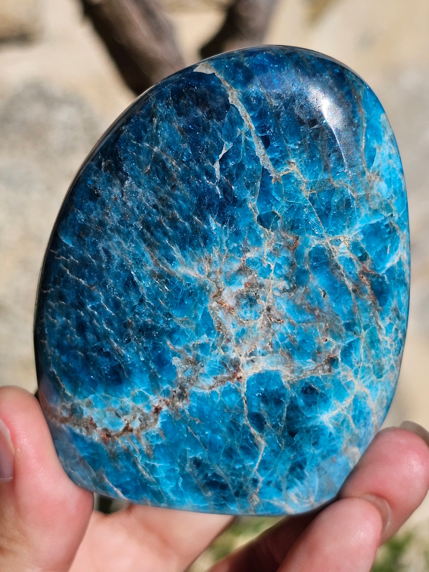 Forme libre Apatite bleue A2