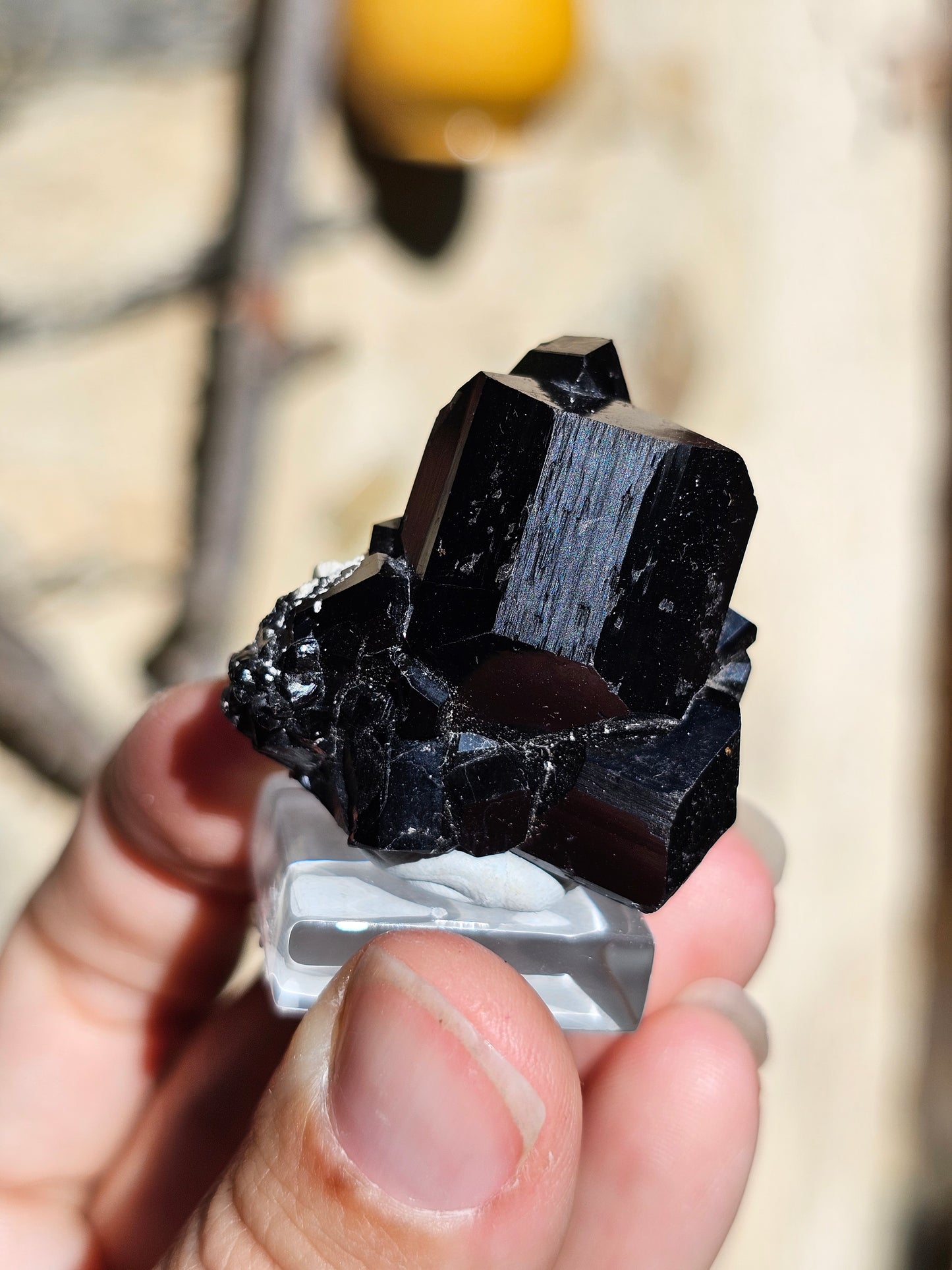 Tourmaline noire T2