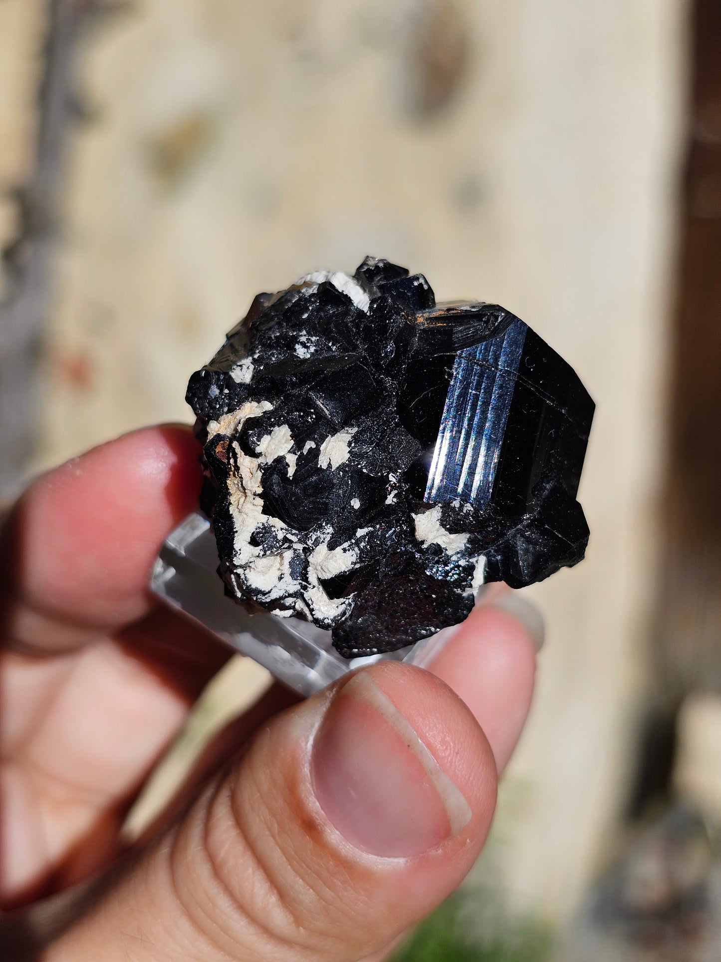 Tourmaline noire T3