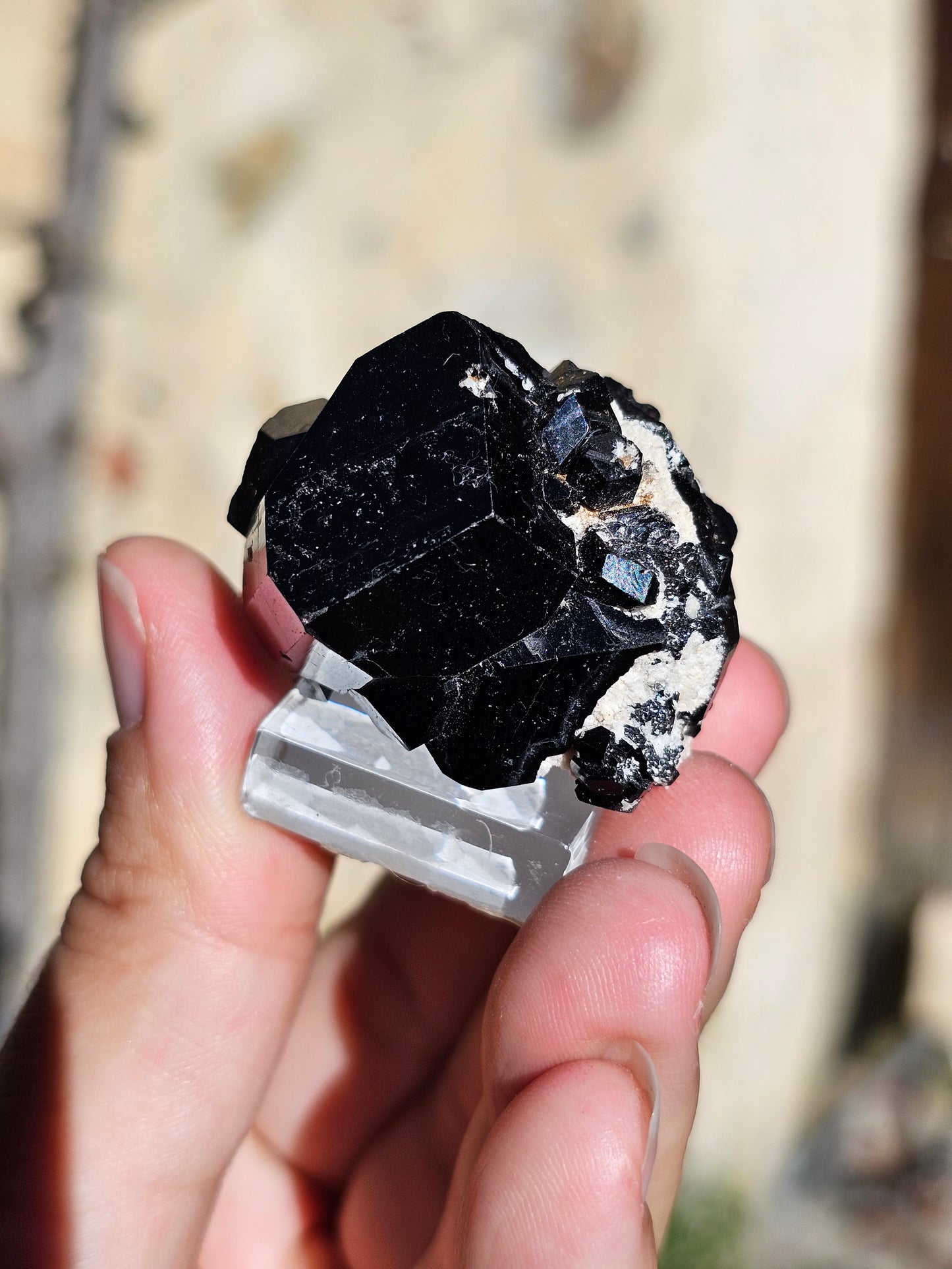 Tourmaline noire T3
