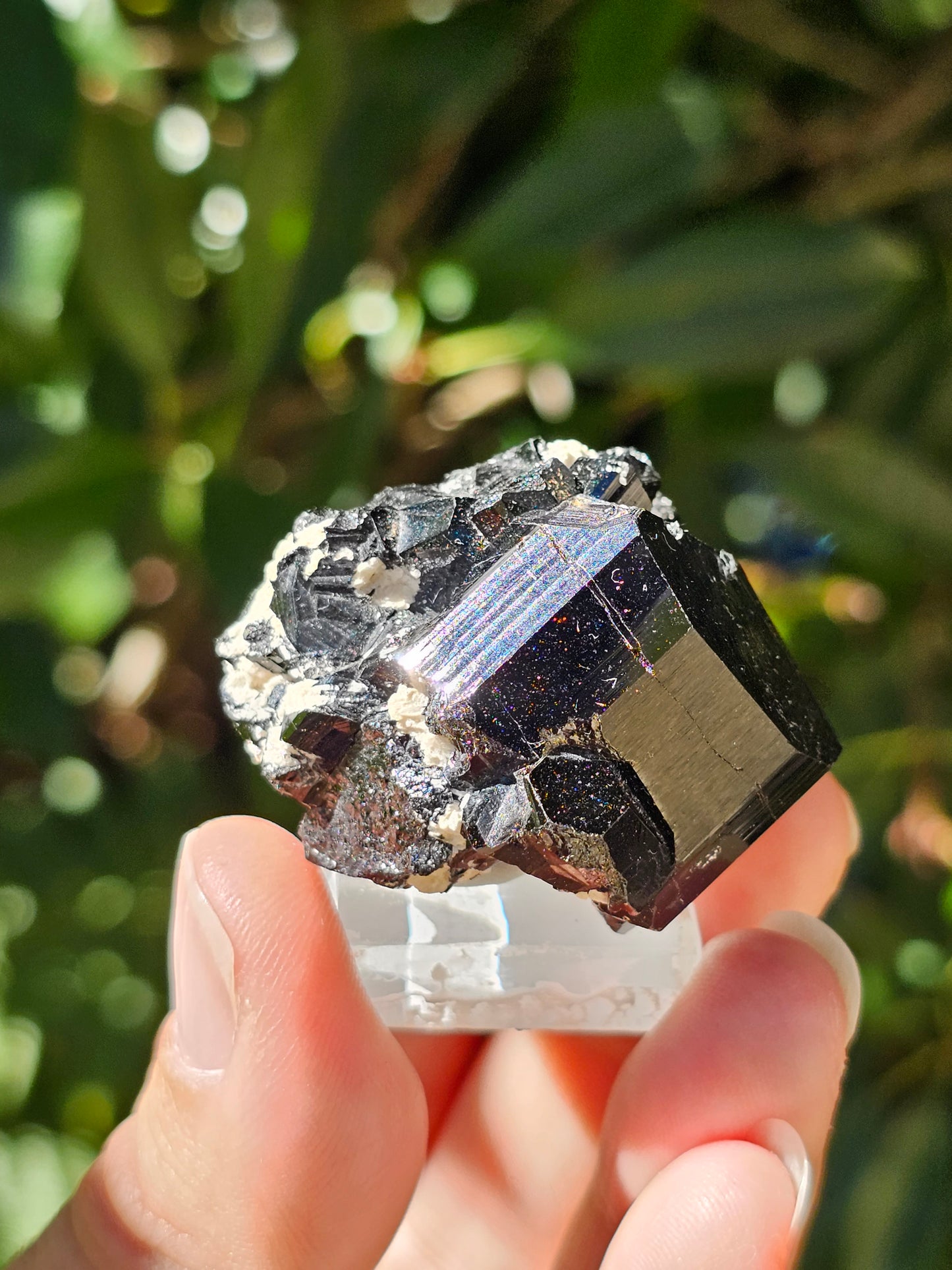 Tourmaline noire T3