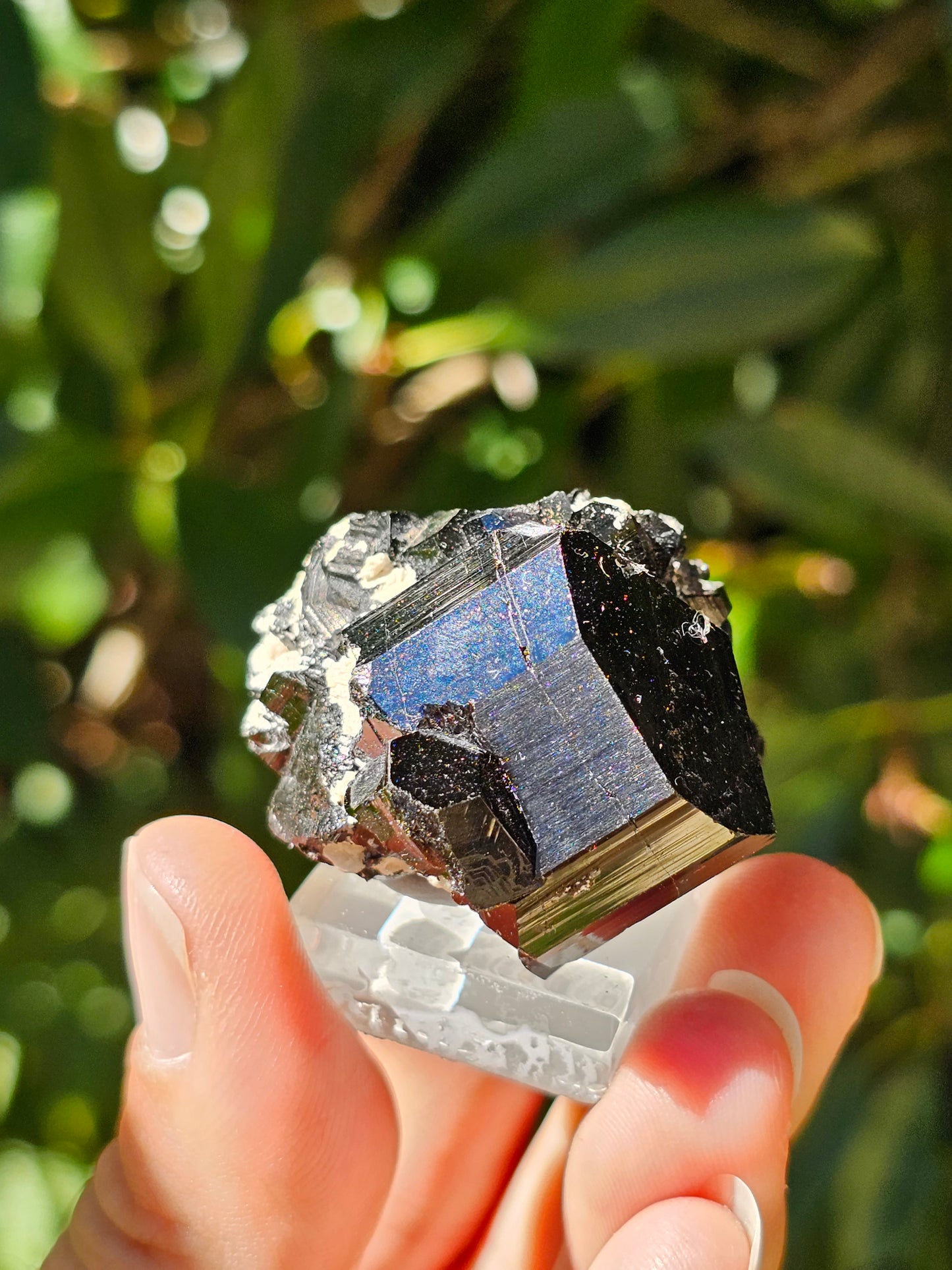 Tourmaline noire T3