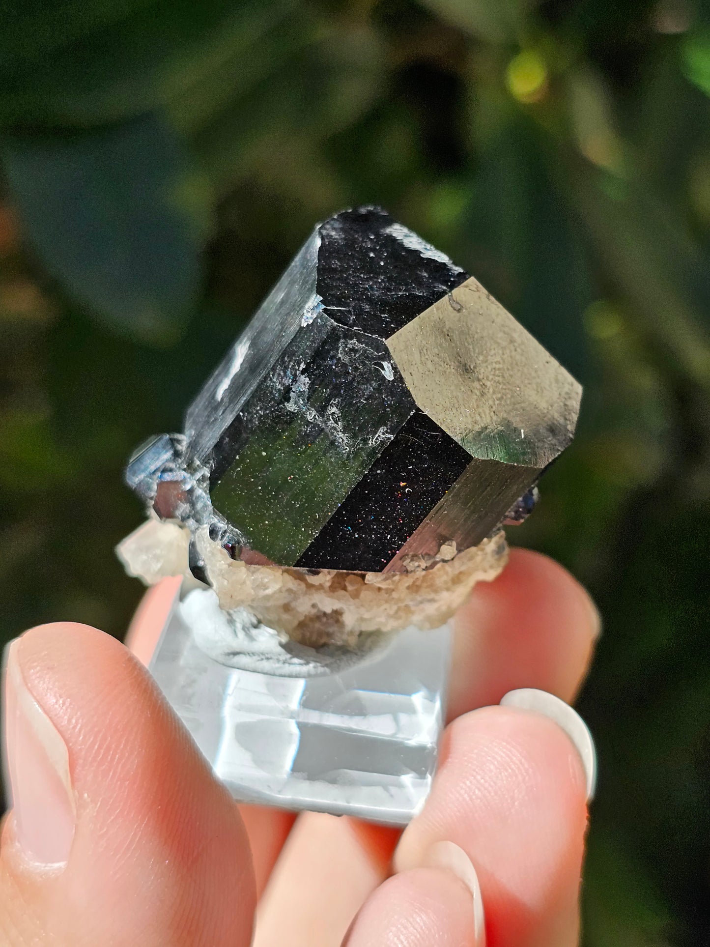 Tourmaline noire T1