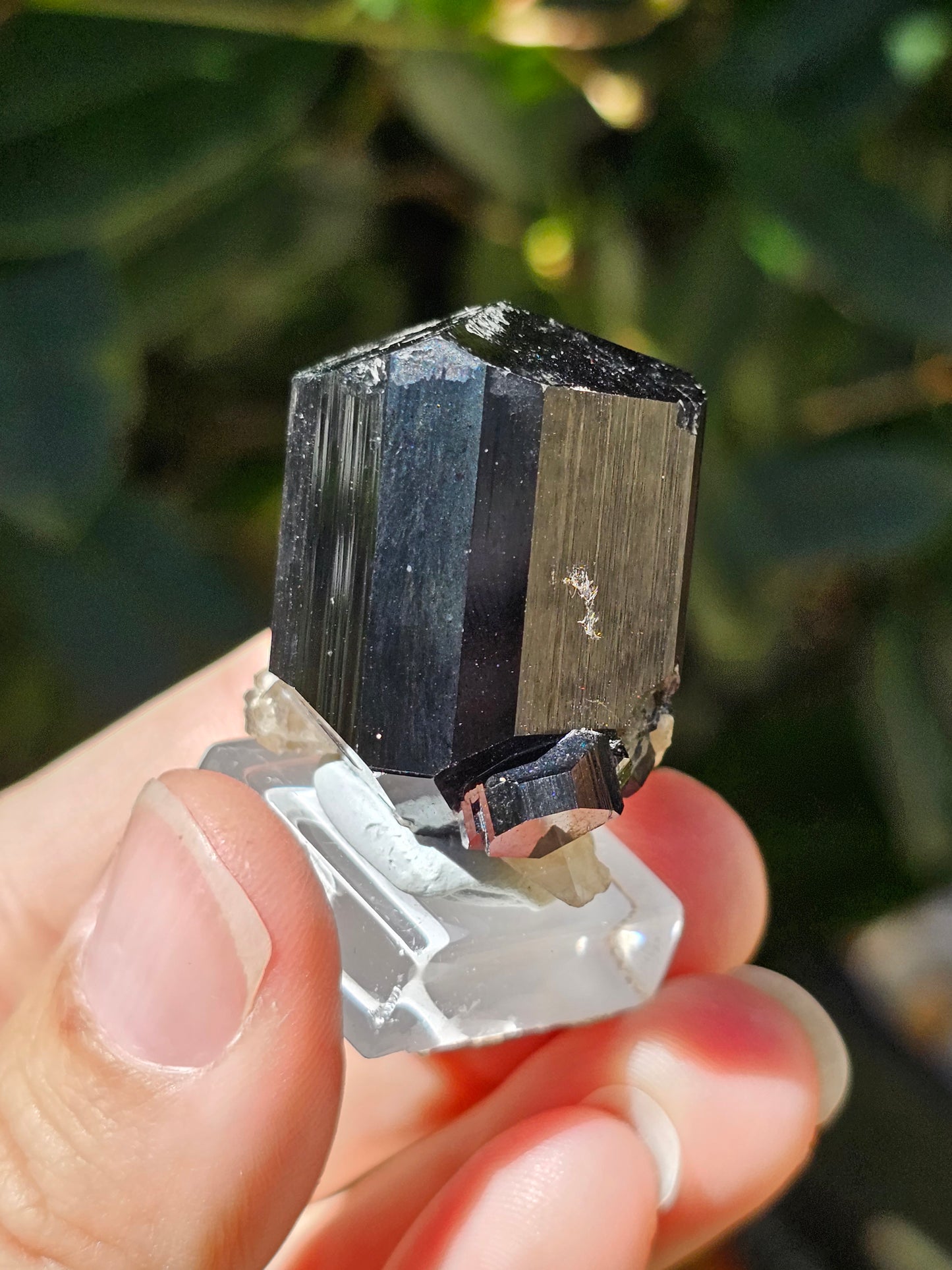 Tourmaline noire T1