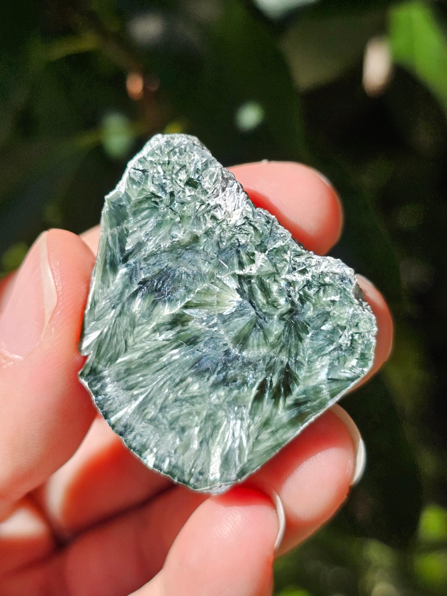Séraphinite B