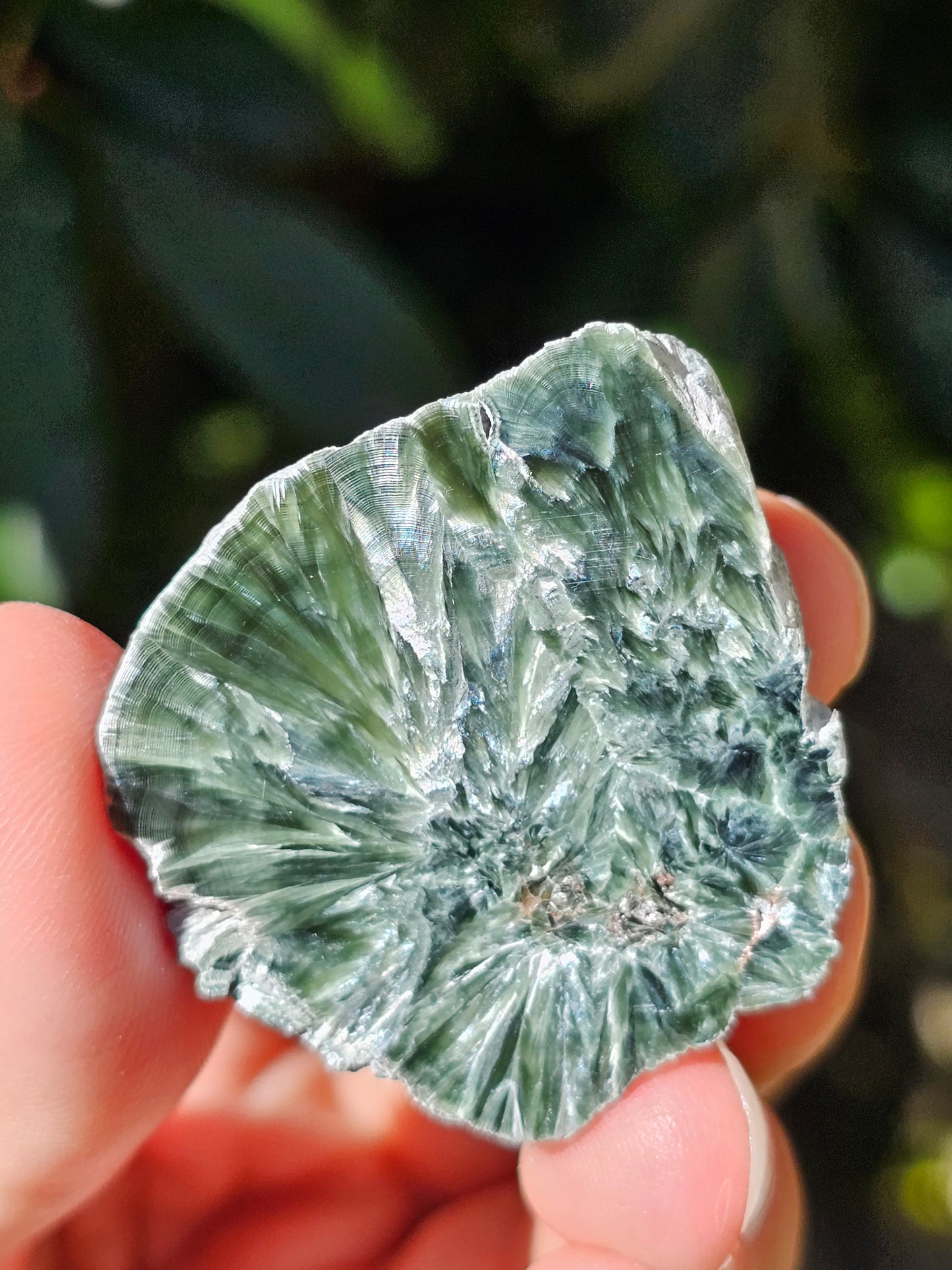 Séraphinite E