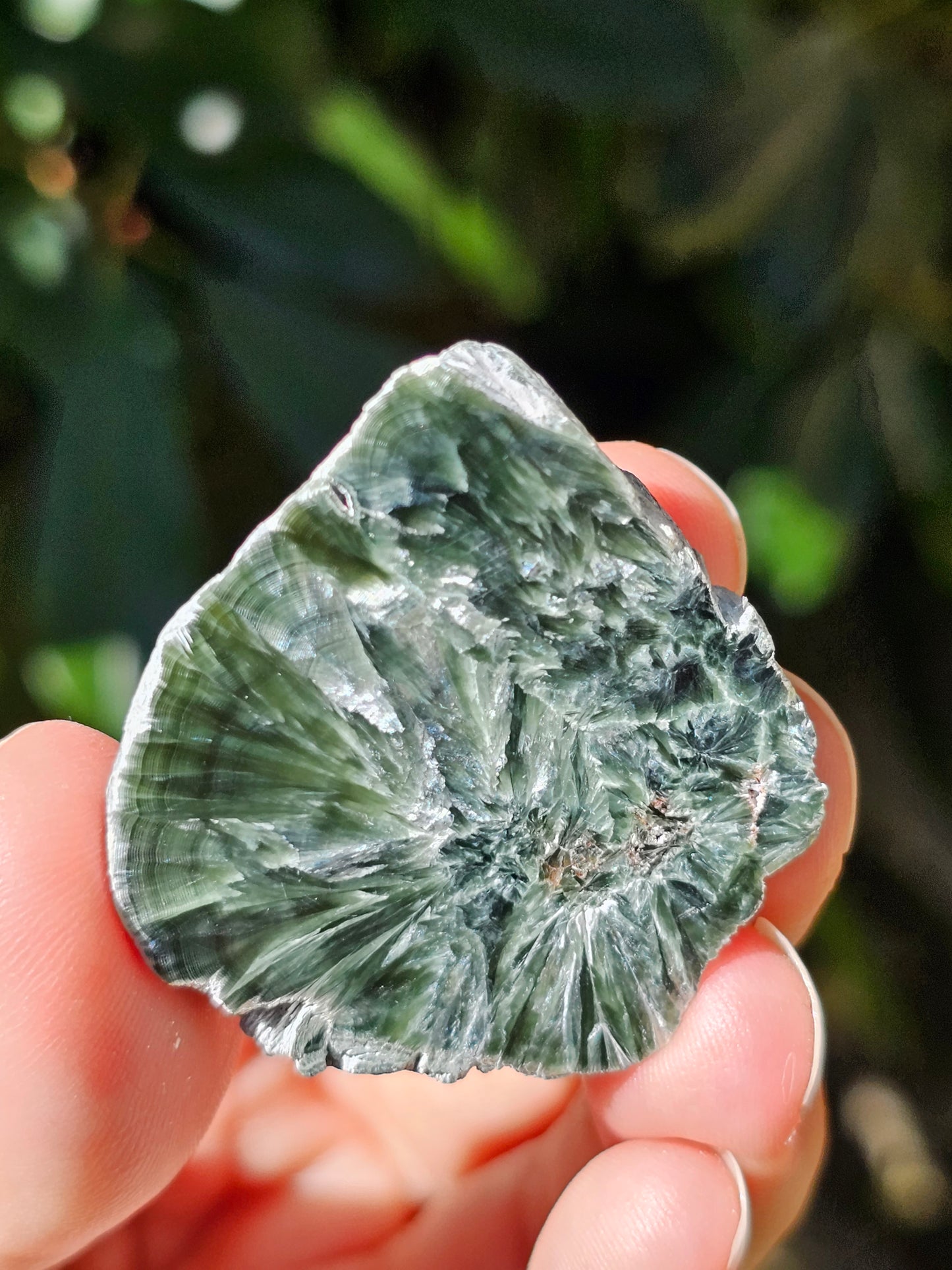 Séraphinite E