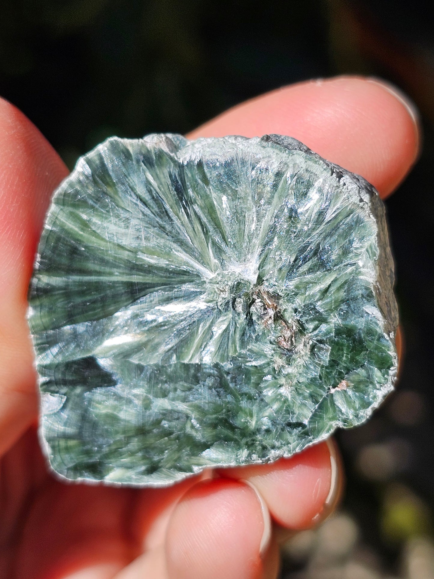 Séraphinite F