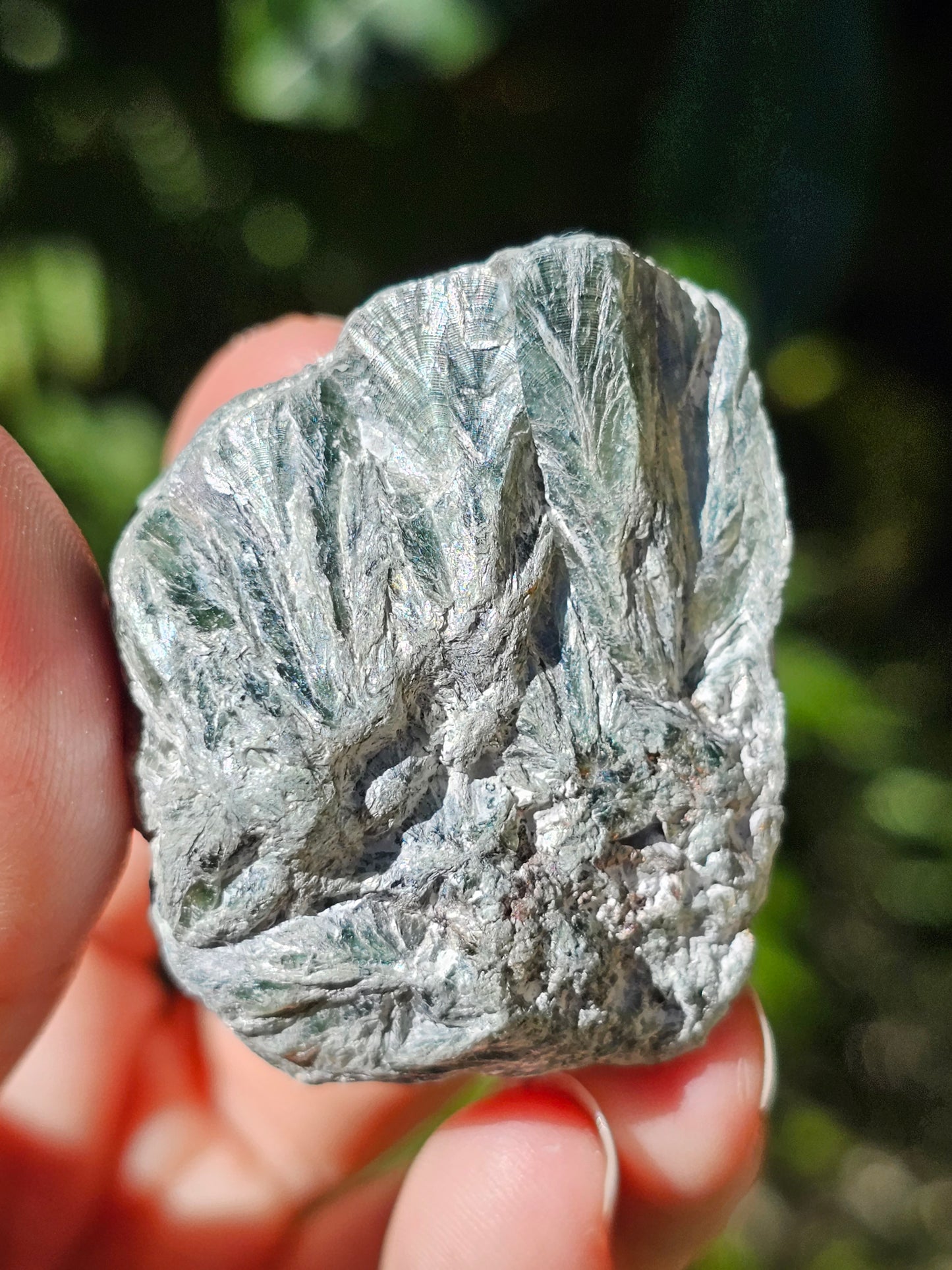 Séraphinite F
