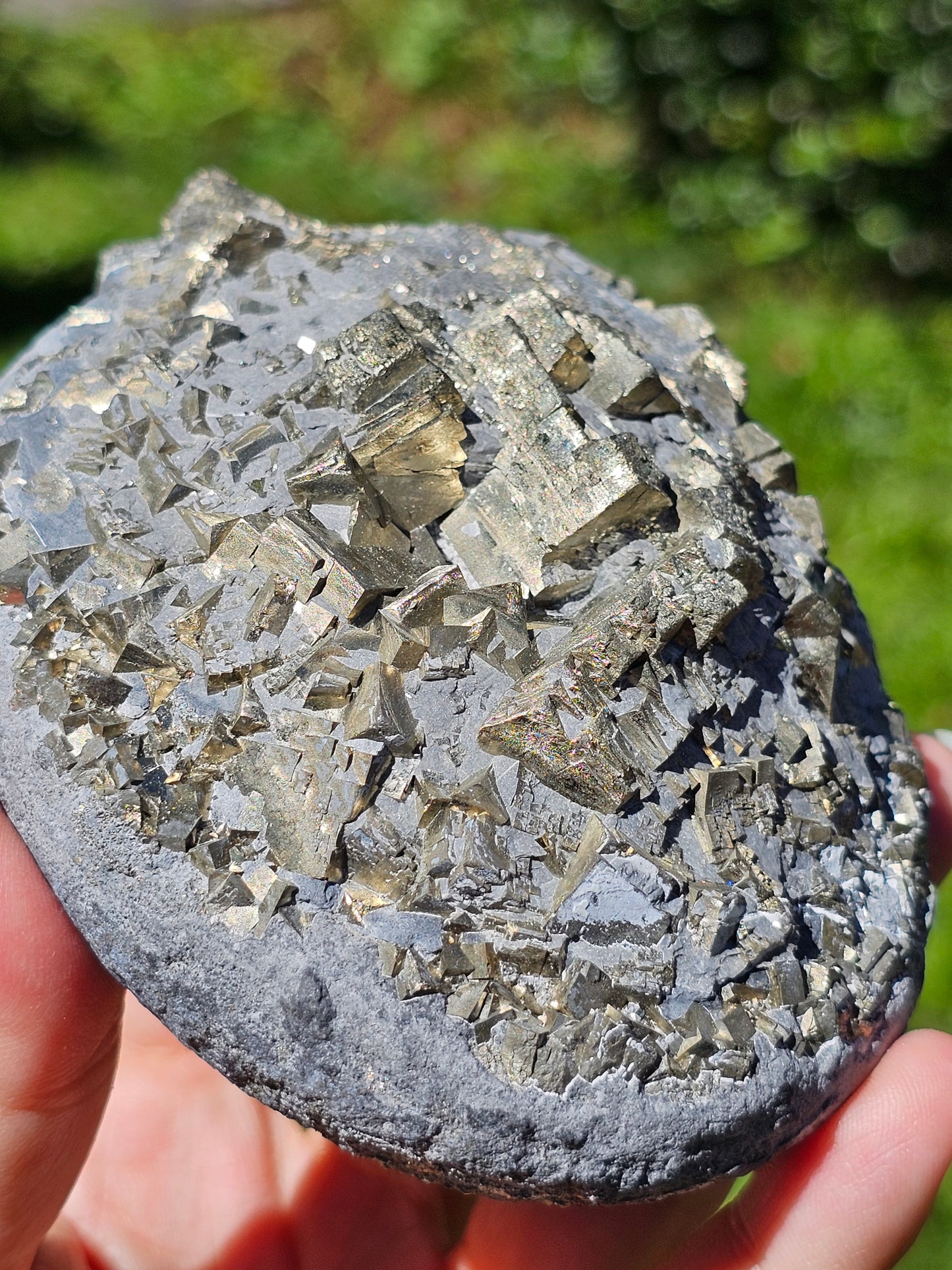 Pyrite brute française